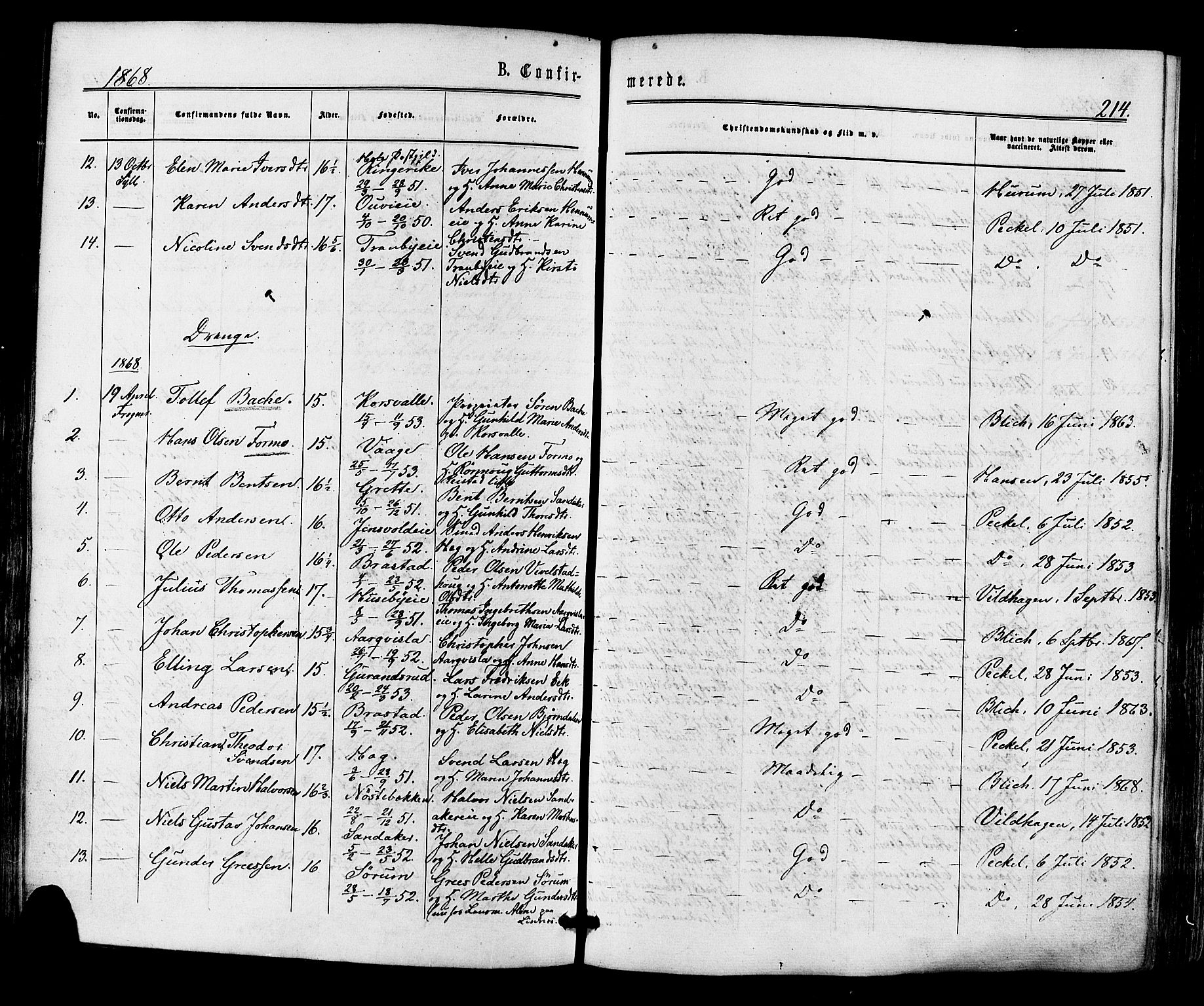 Lier kirkebøker, AV/SAKO-A-230/F/Fa/L0013: Parish register (official) no. I 13, 1865-1874, p. 214