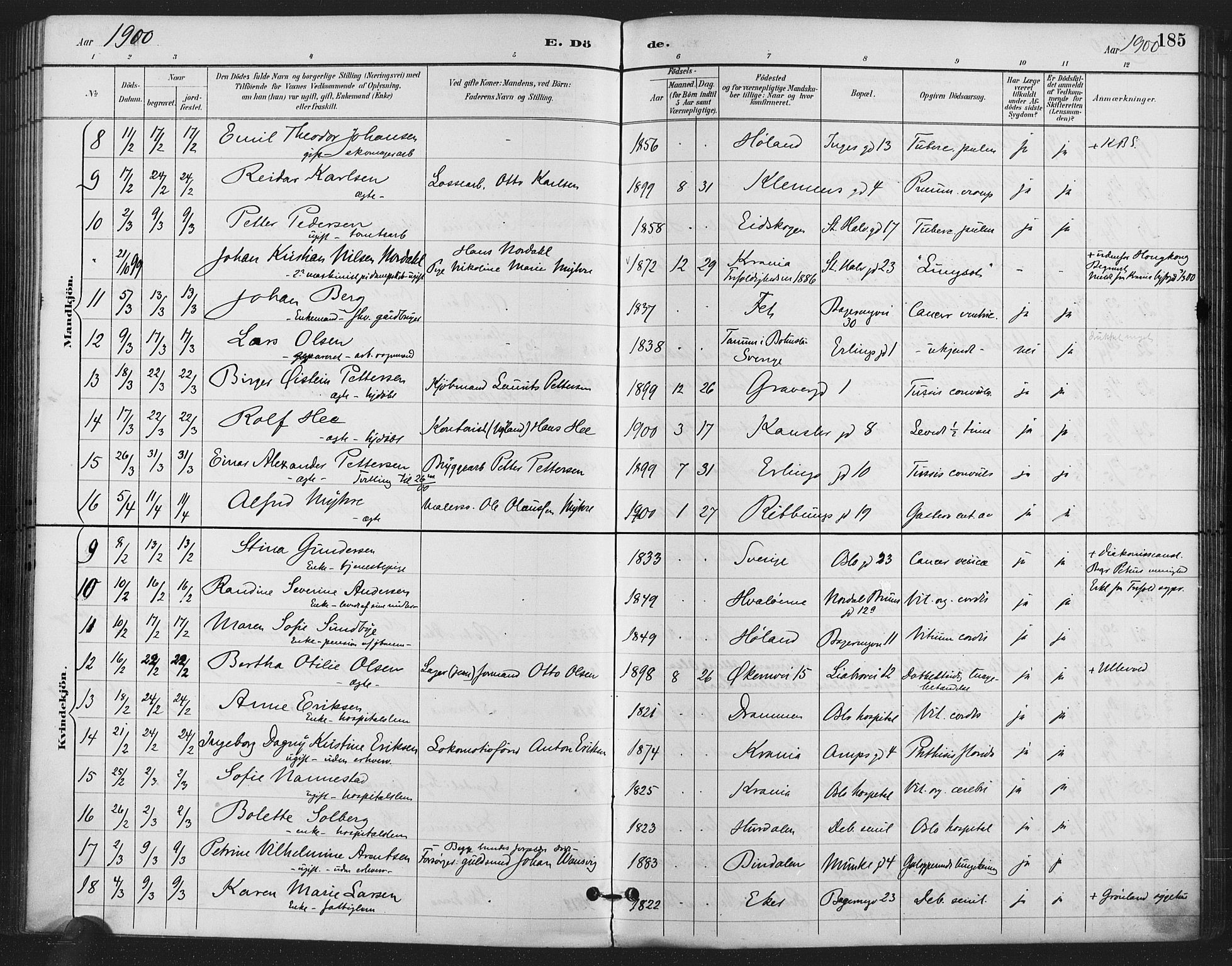 Gamlebyen prestekontor Kirkebøker, SAO/A-10884/F/Fa/L0009: Parish register (official) no. 9, 1888-1909, p. 185