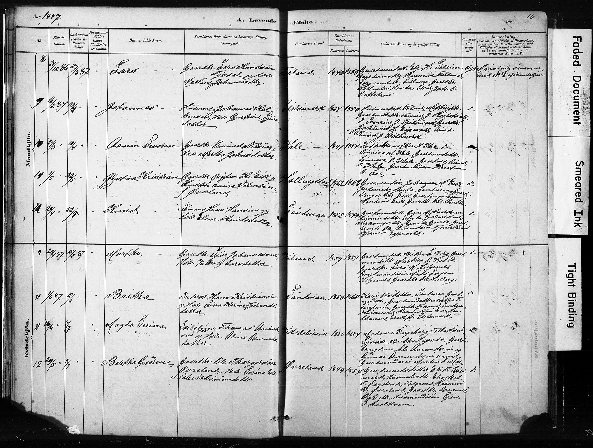 Vikedal sokneprestkontor, AV/SAST-A-101840/01/IV: Parish register (official) no. A 10, 1884-1907, p. 16