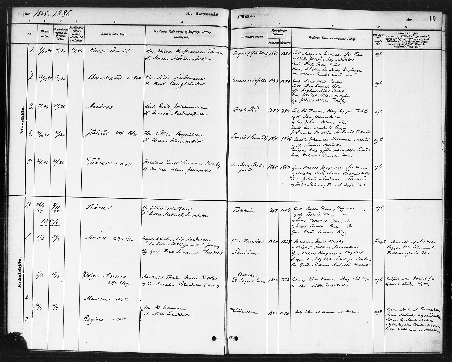 Rødenes prestekontor Kirkebøker, AV/SAO-A-2005/F/Fb/L0001: Parish register (official) no. II 1, 1880-1889, p. 19