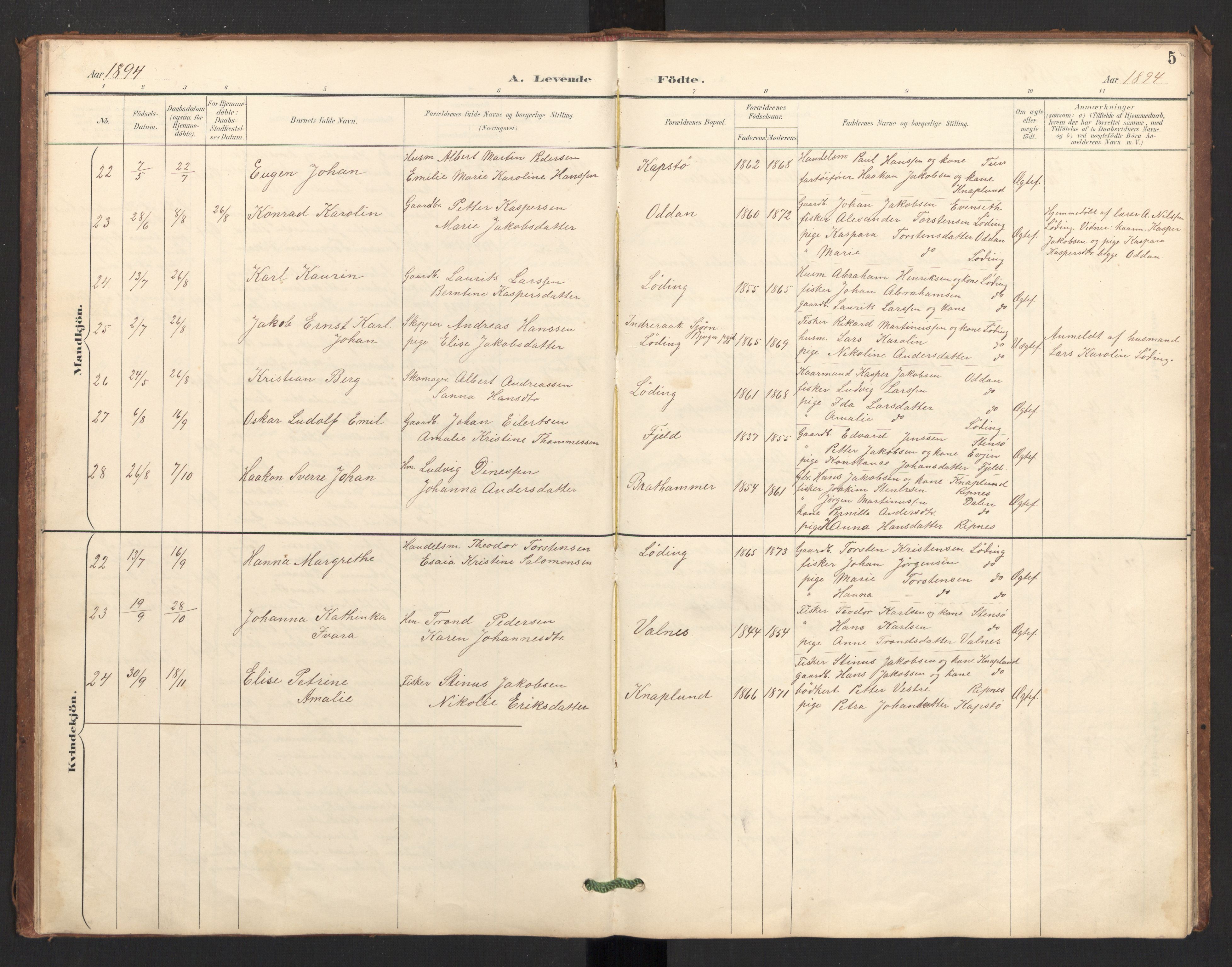 Ministerialprotokoller, klokkerbøker og fødselsregistre - Nordland, AV/SAT-A-1459/804/L0087: Parish register (official) no. 804A08, 1894-1907, p. 5