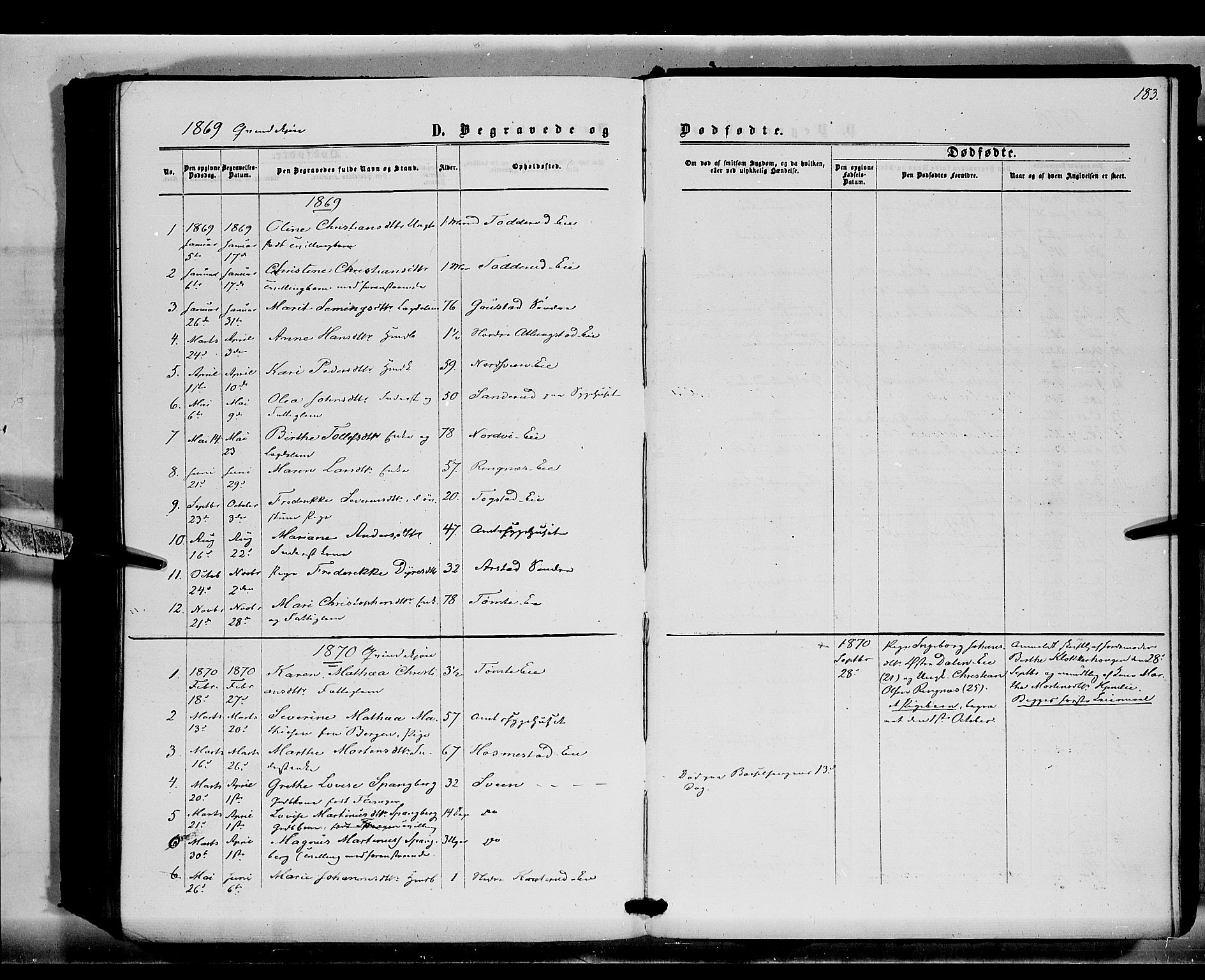 Stange prestekontor, SAH/PREST-002/K/L0015: Parish register (official) no. 15, 1862-1879, p. 183