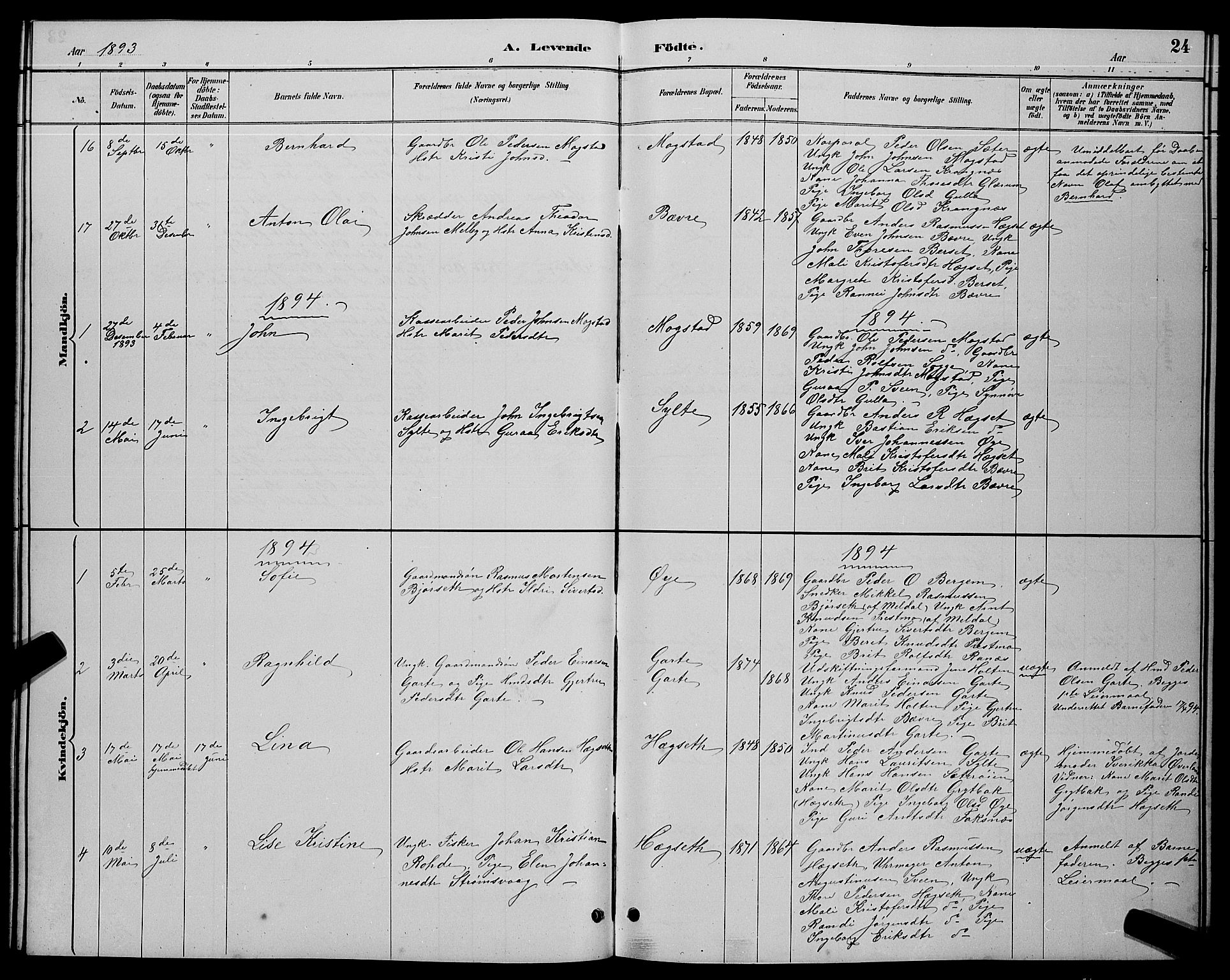 Ministerialprotokoller, klokkerbøker og fødselsregistre - Møre og Romsdal, AV/SAT-A-1454/595/L1052: Parish register (copy) no. 595C04, 1885-1900, p. 24