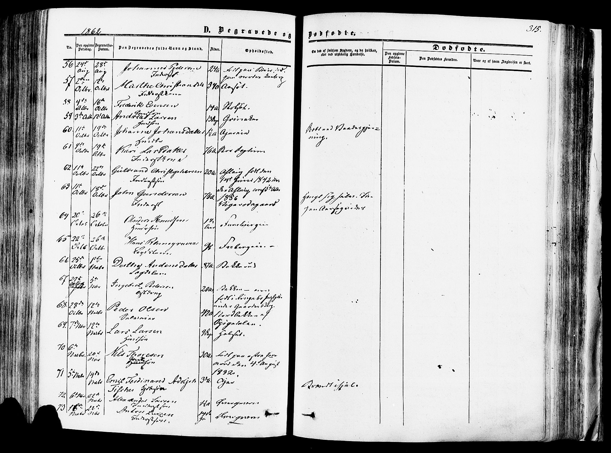 Vang prestekontor, Hedmark, SAH/PREST-008/H/Ha/Haa/L0013: Parish register (official) no. 13, 1855-1879, p. 315