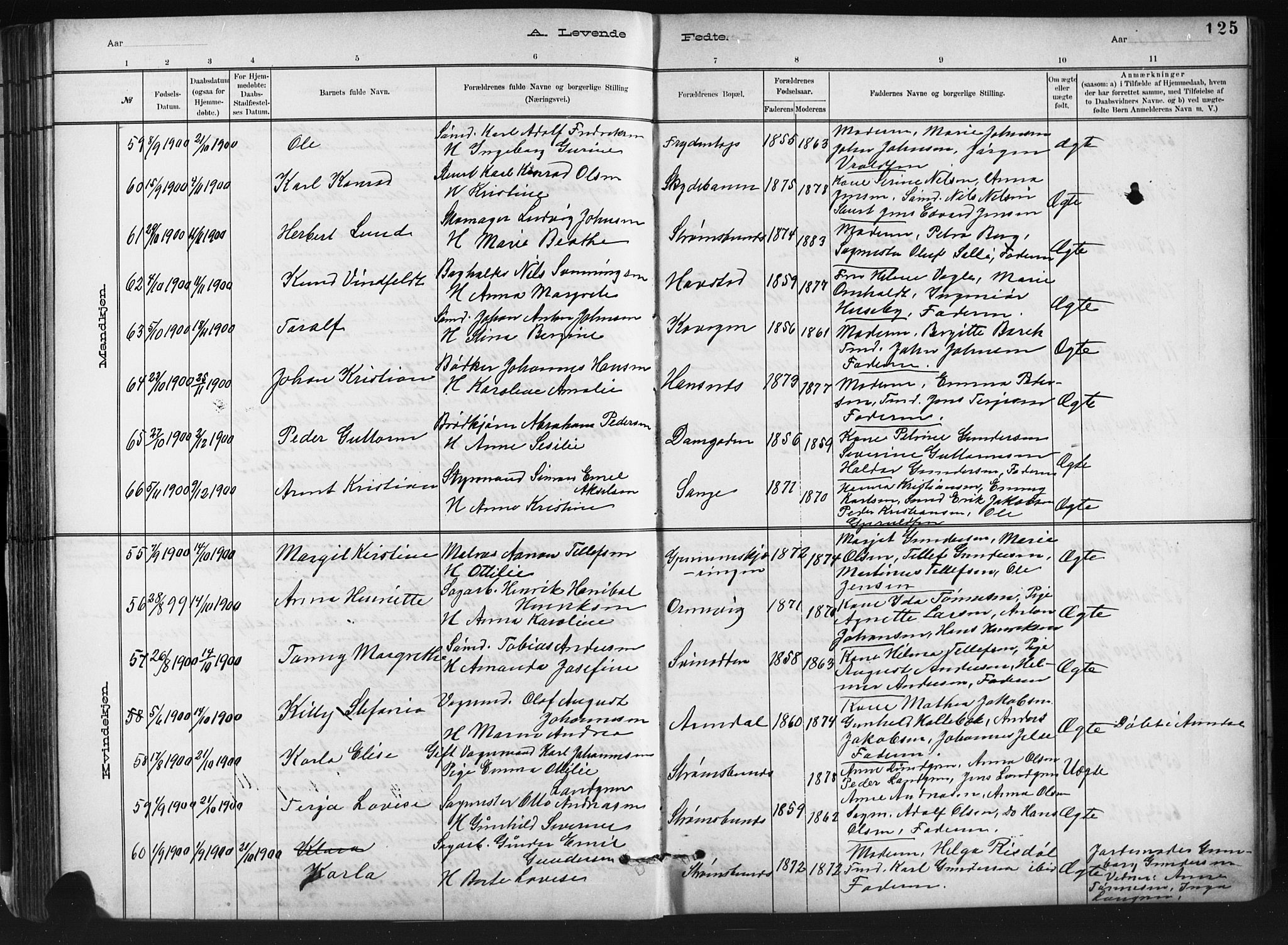 Barbu sokneprestkontor, AV/SAK-1111-0003/F/Fb/L0002: Parish register (copy) no. B 2, 1890-1922, p. 125