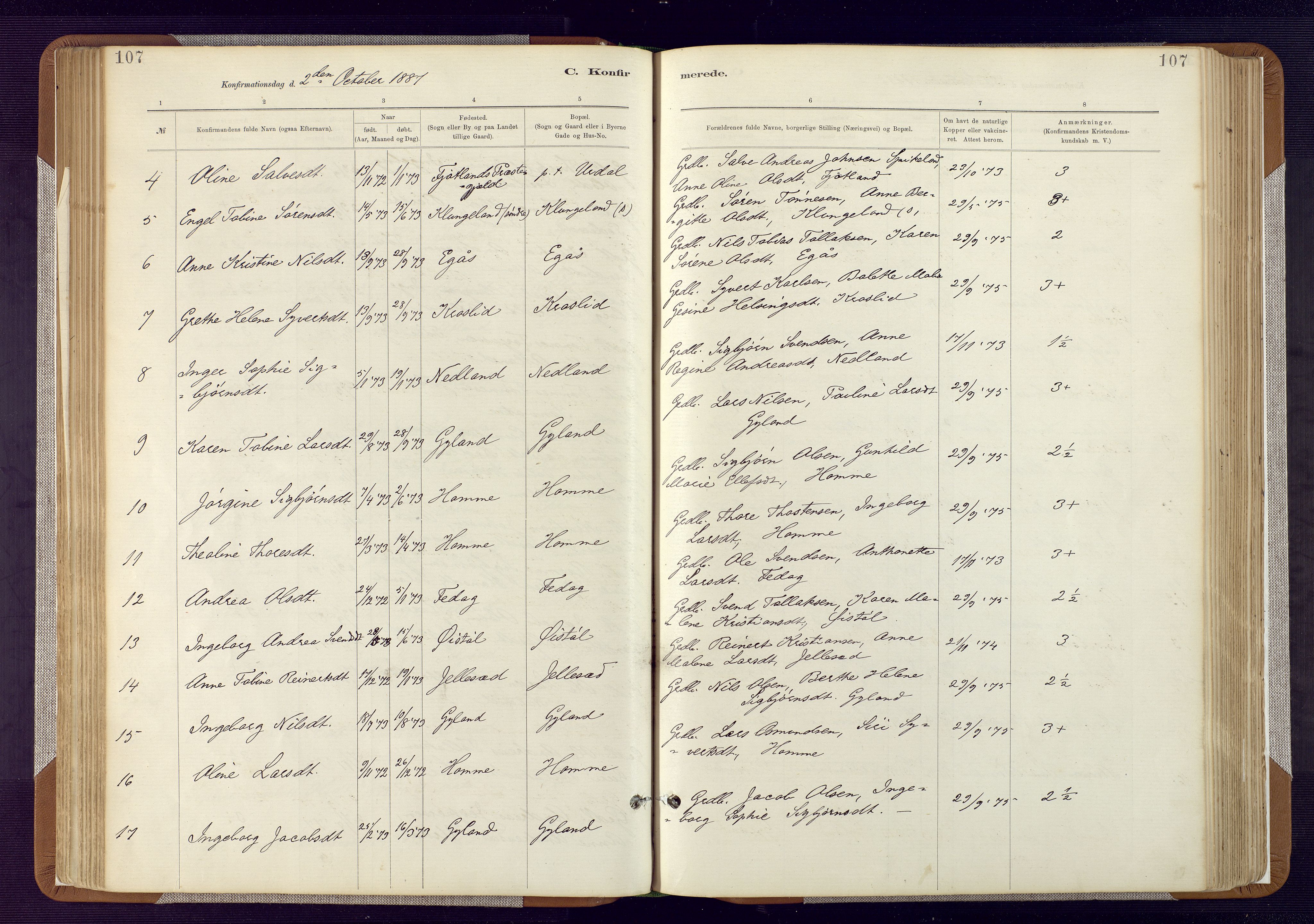 Bakke sokneprestkontor, AV/SAK-1111-0002/F/Fa/Fab/L0003: Parish register (official) no. A 3, 1884-1921, p. 107