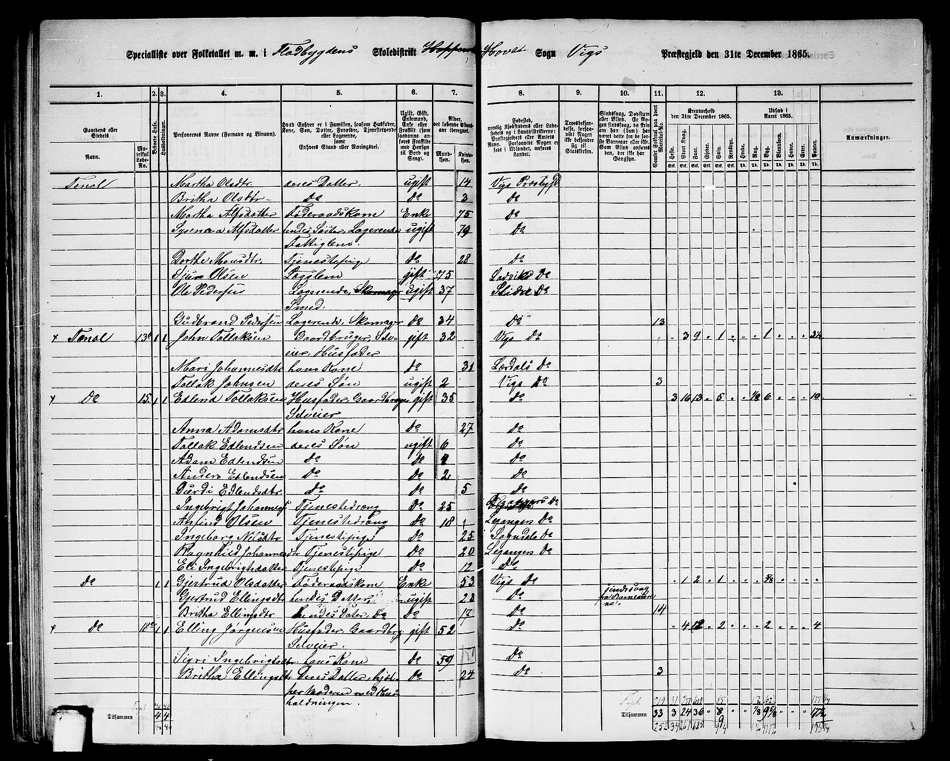 RA, 1865 census for Vik, 1865, p. 40