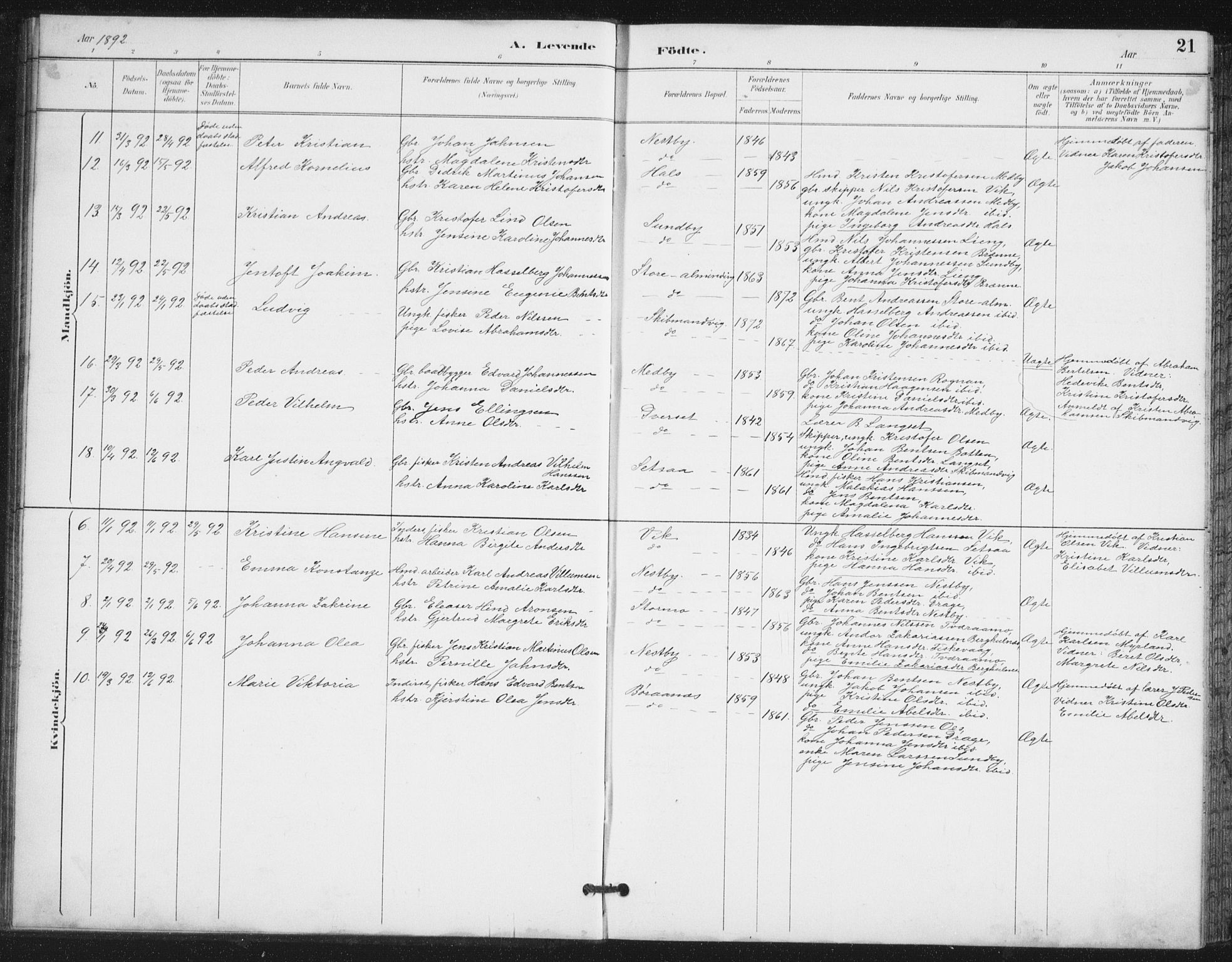 Ministerialprotokoller, klokkerbøker og fødselsregistre - Nordland, AV/SAT-A-1459/847/L0682: Parish register (copy) no. 847C10, 1889-1907, p. 21