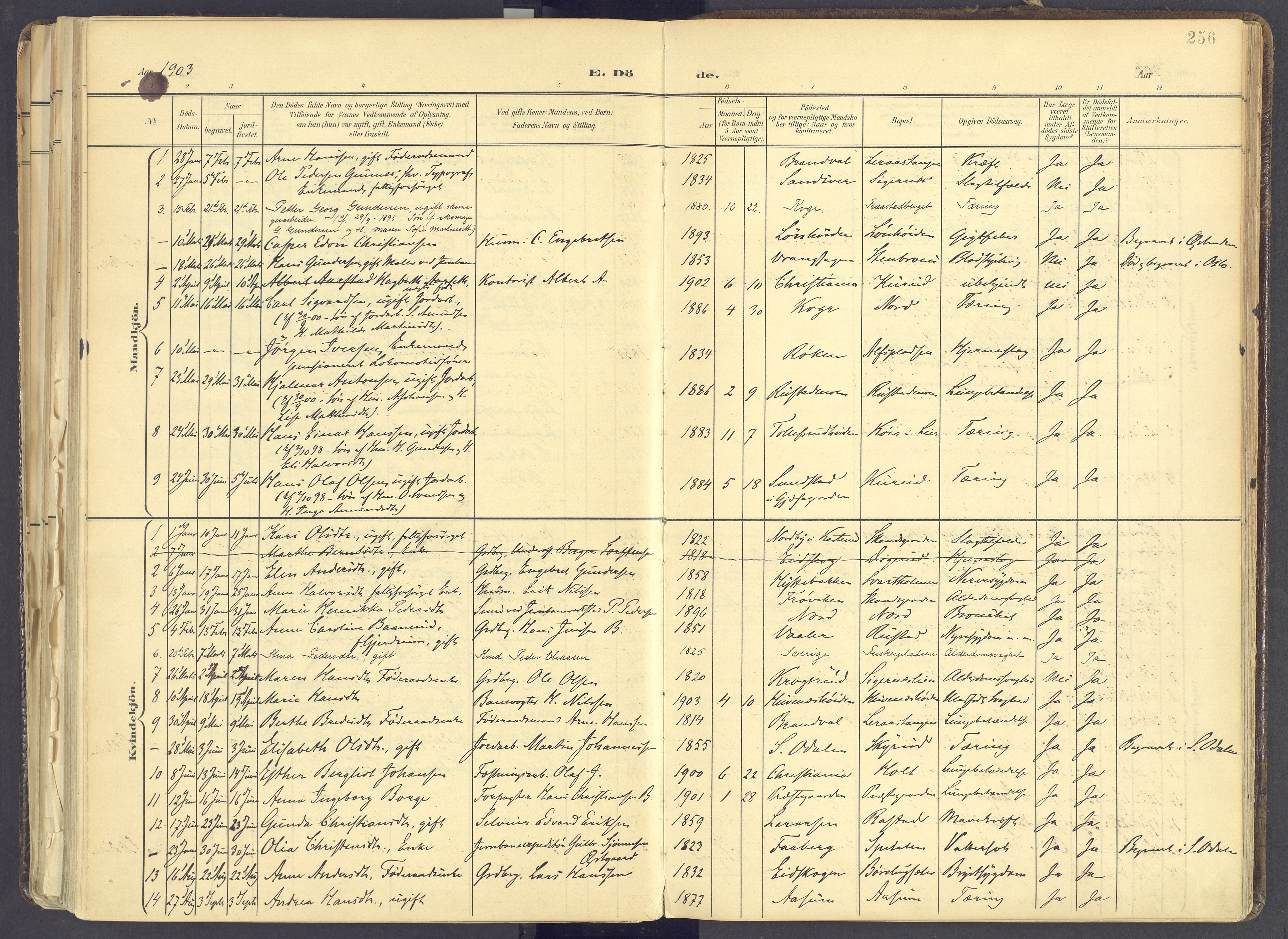 Vinger prestekontor, SAH/PREST-024/H/Ha/Haa/L0017: Parish register (official) no. 17, 1901-1927, p. 256