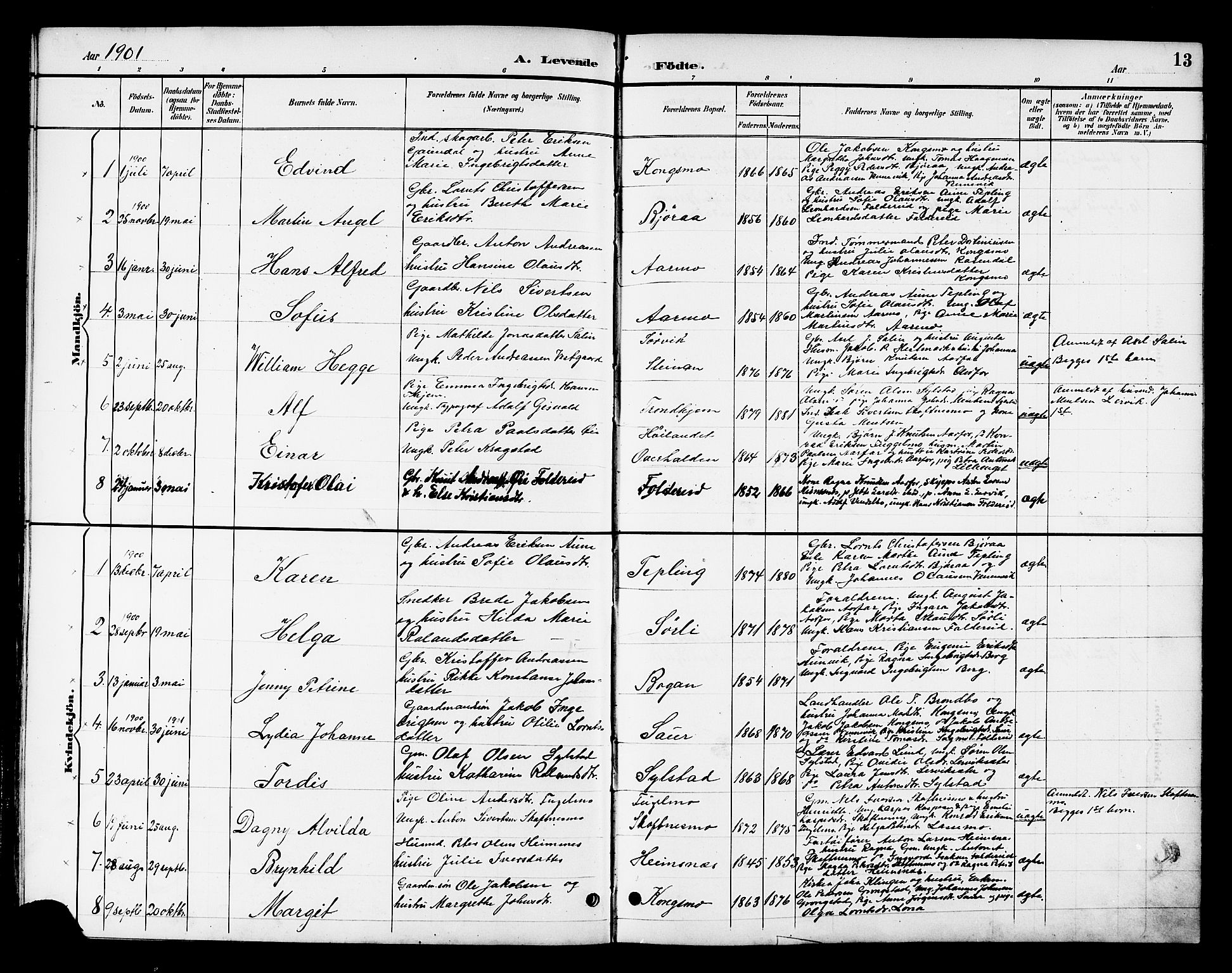 Ministerialprotokoller, klokkerbøker og fødselsregistre - Nord-Trøndelag, SAT/A-1458/783/L0662: Parish register (copy) no. 783C02, 1894-1919, p. 13