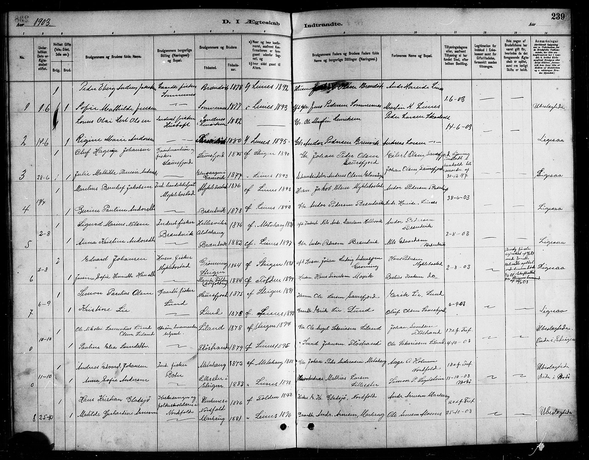 Ministerialprotokoller, klokkerbøker og fødselsregistre - Nordland, AV/SAT-A-1459/857/L0828: Parish register (copy) no. 857C03, 1879-1908, p. 239