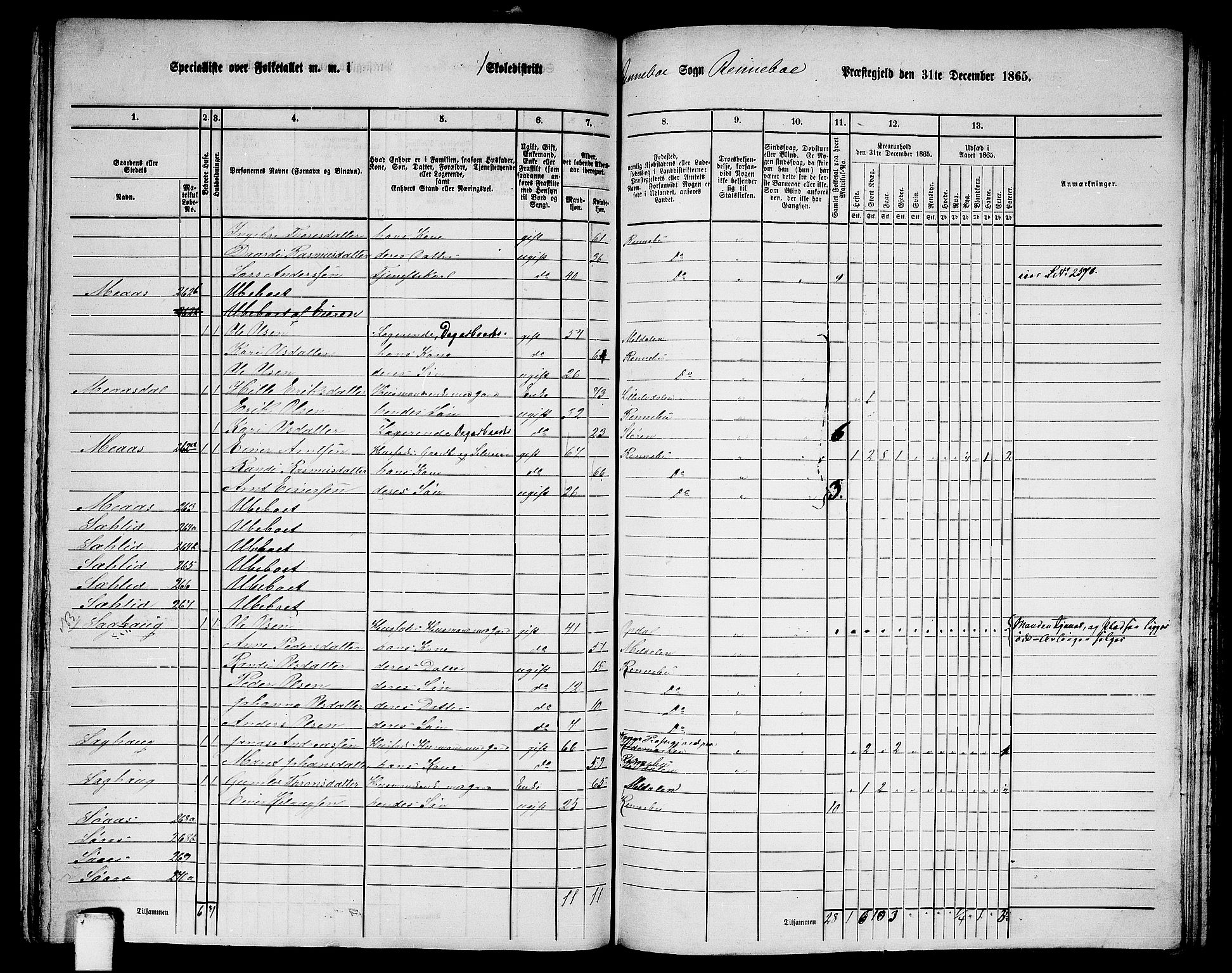 RA, 1865 census for Rennebu, 1865, p. 18