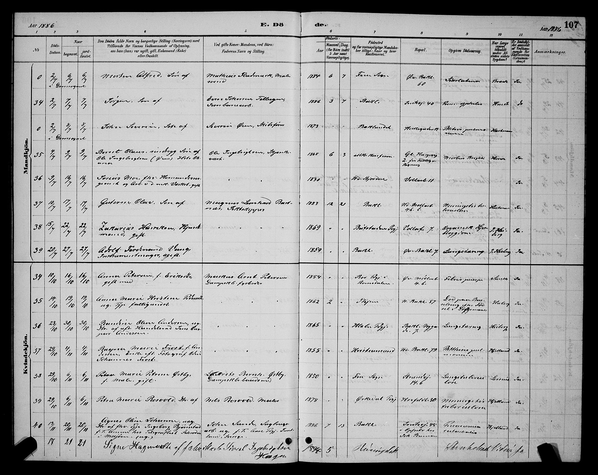 Ministerialprotokoller, klokkerbøker og fødselsregistre - Sør-Trøndelag, SAT/A-1456/604/L0223: Parish register (copy) no. 604C06, 1886-1897, p. 107