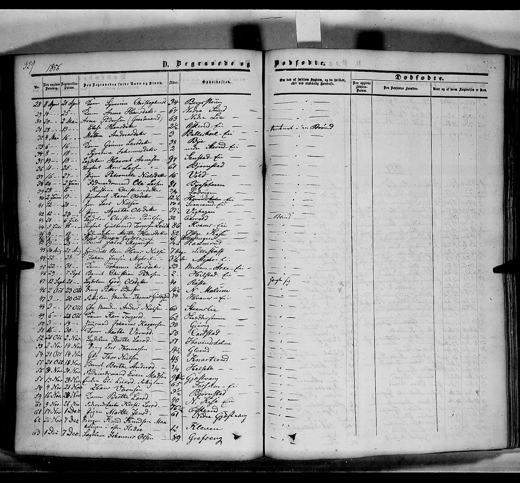Nes prestekontor, Hedmark, SAH/PREST-020/K/Ka/L0004: Parish register (official) no. 4, 1852-1886, p. 329