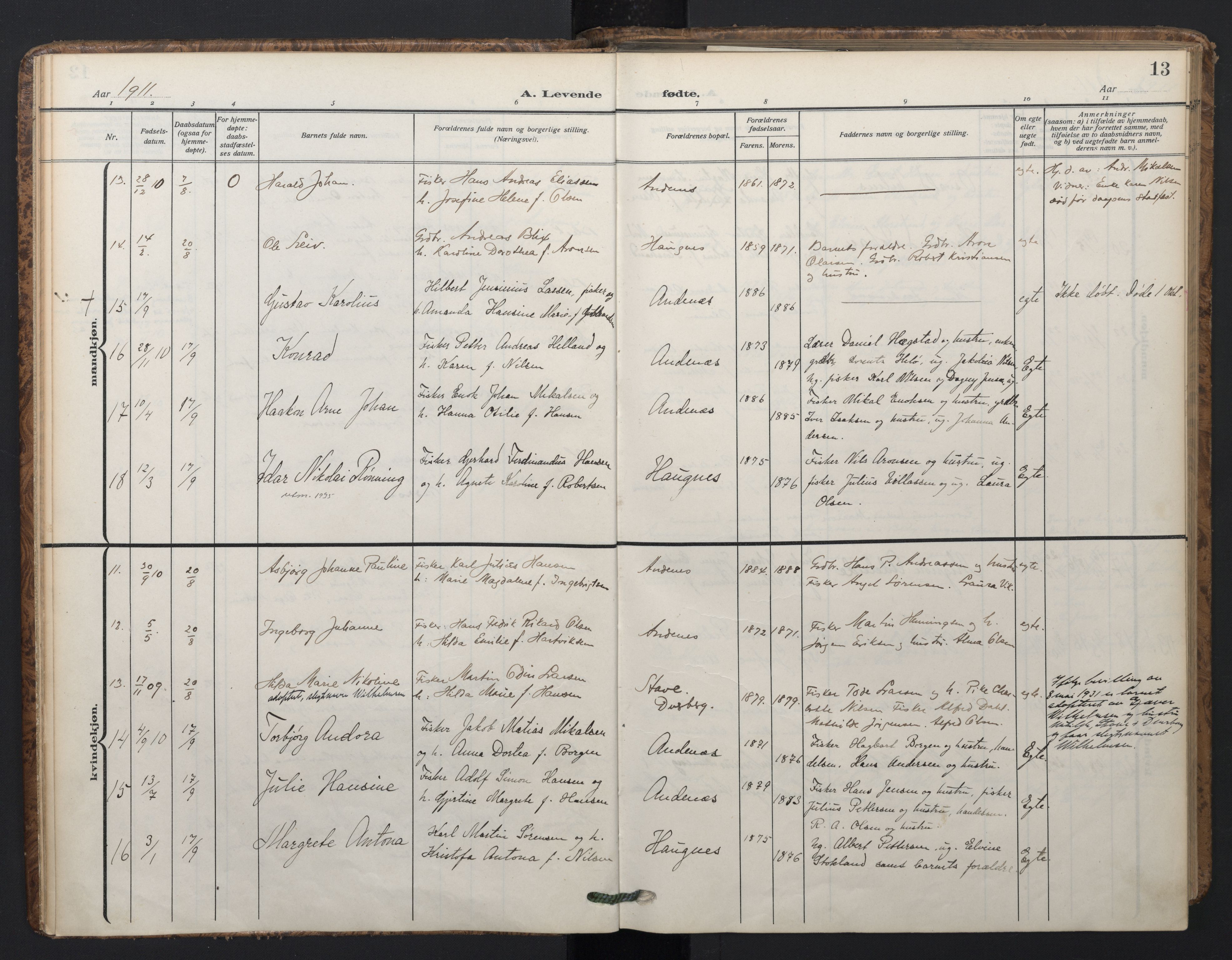 Ministerialprotokoller, klokkerbøker og fødselsregistre - Nordland, AV/SAT-A-1459/899/L1438: Parish register (official) no. 899A06, 1909-1922, p. 13