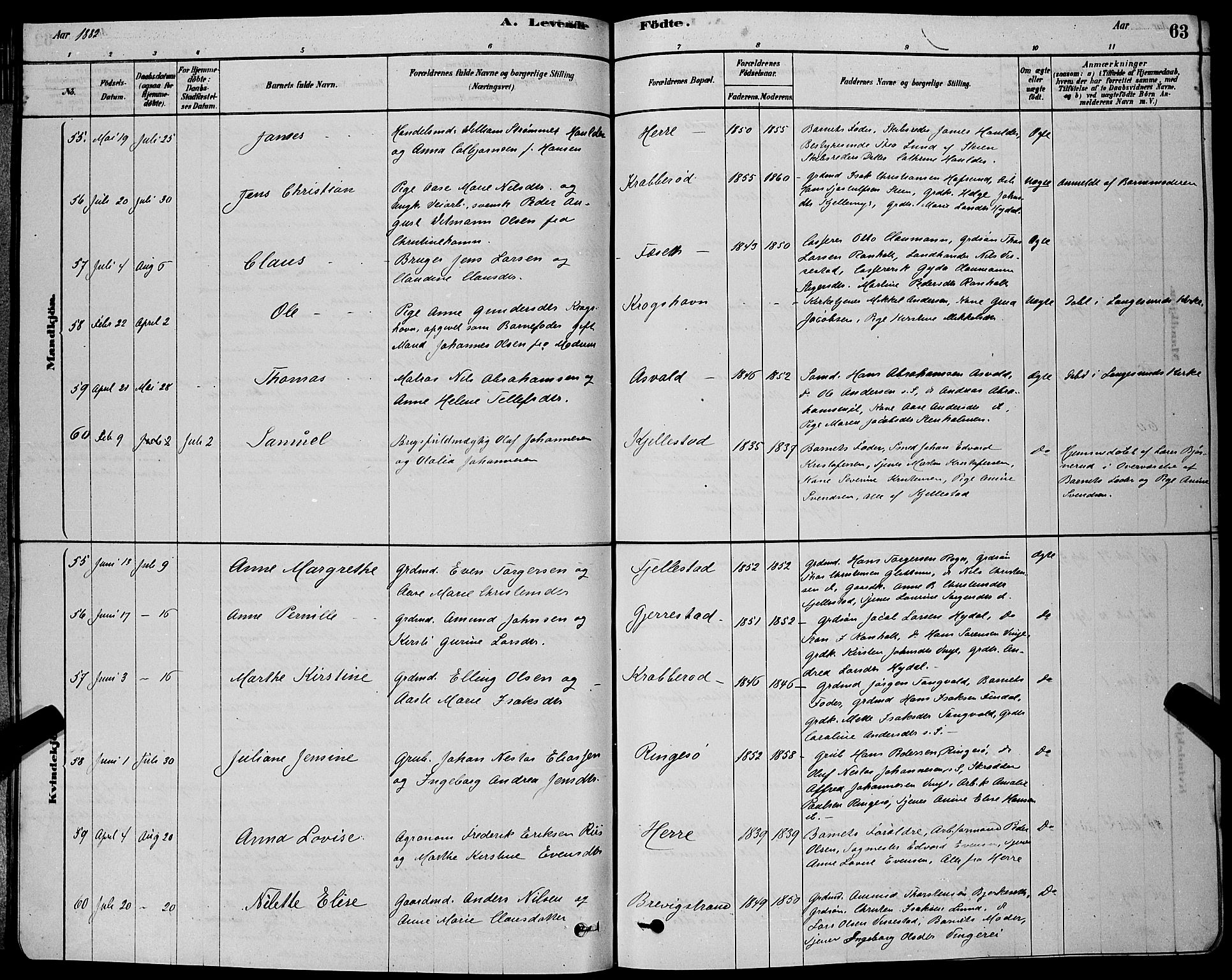 Bamble kirkebøker, SAKO/A-253/G/Ga/L0008: Parish register (copy) no. I 8, 1878-1888, p. 63