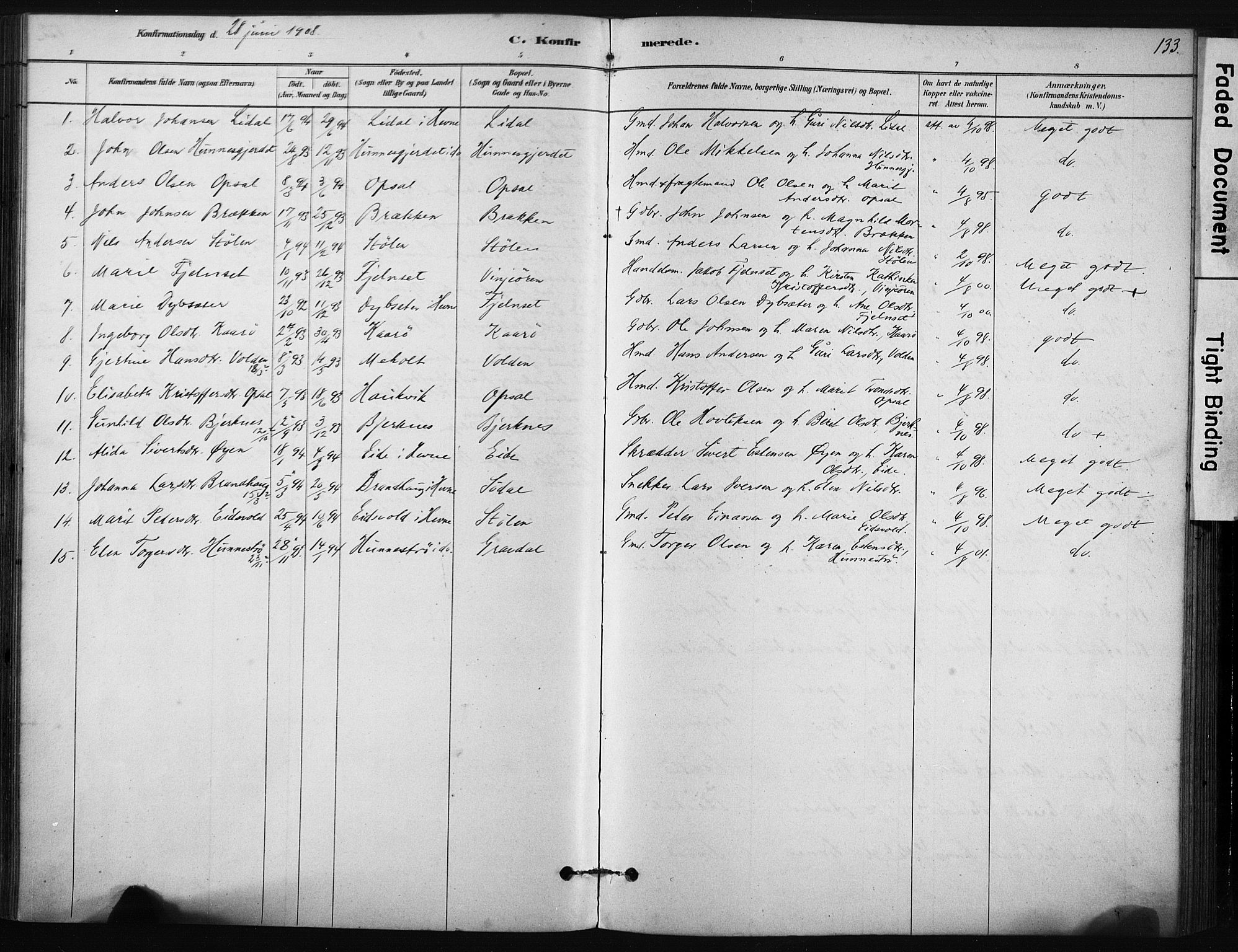 Ministerialprotokoller, klokkerbøker og fødselsregistre - Sør-Trøndelag, SAT/A-1456/631/L0512: Parish register (official) no. 631A01, 1879-1912, p. 133