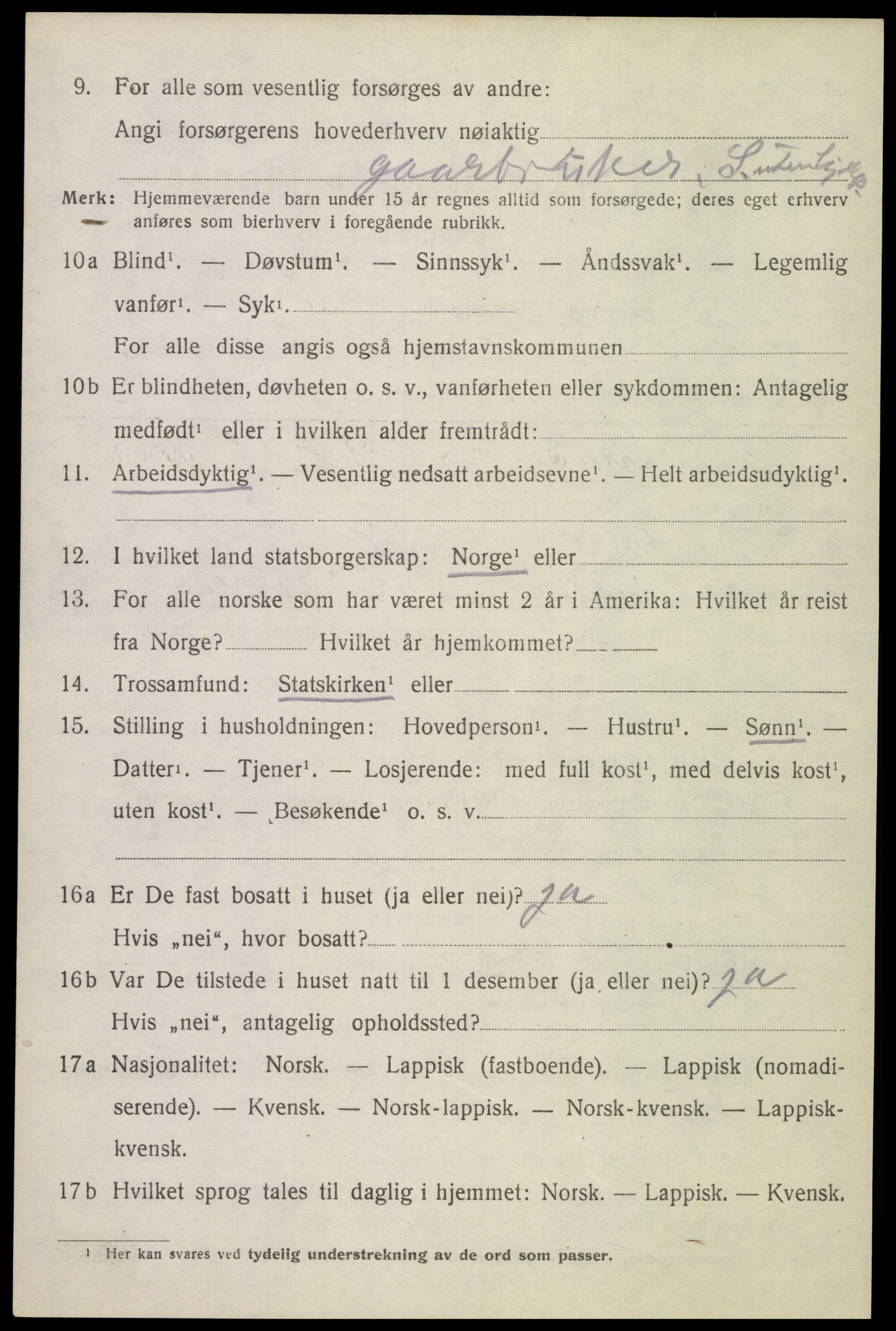 SAT, 1920 census for Ankenes, 1920, p. 3916