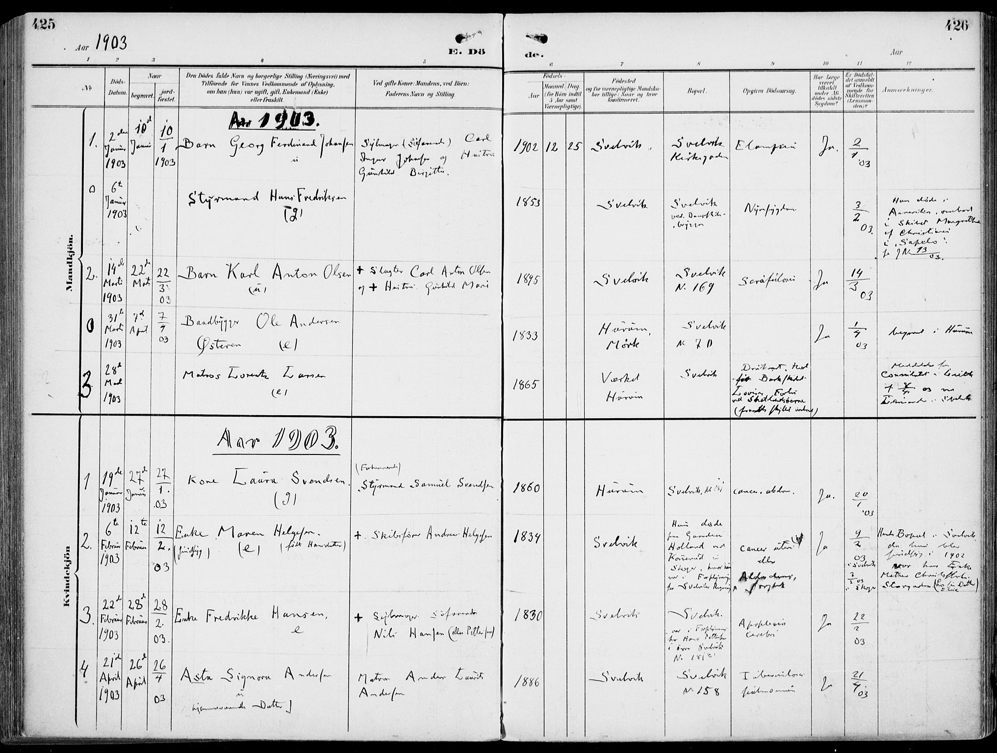 Strømm kirkebøker, AV/SAKO-A-322/F/Fb/L0002: Parish register (official) no. II 2, 1900-1919, p. 425-426