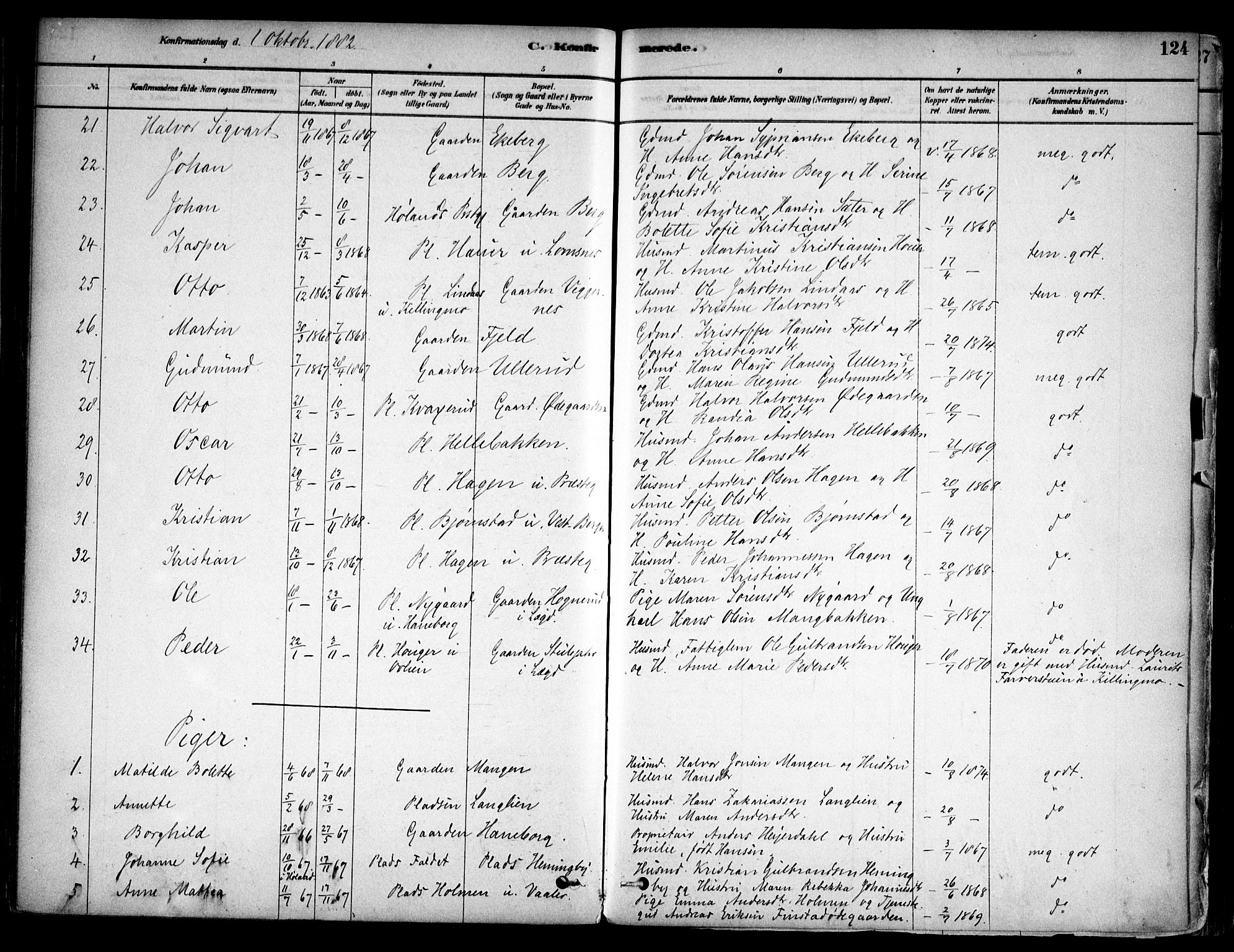 Aurskog prestekontor Kirkebøker, SAO/A-10304a/F/Fa/L0008: Parish register (official) no. I 8, 1878-1937, p. 124