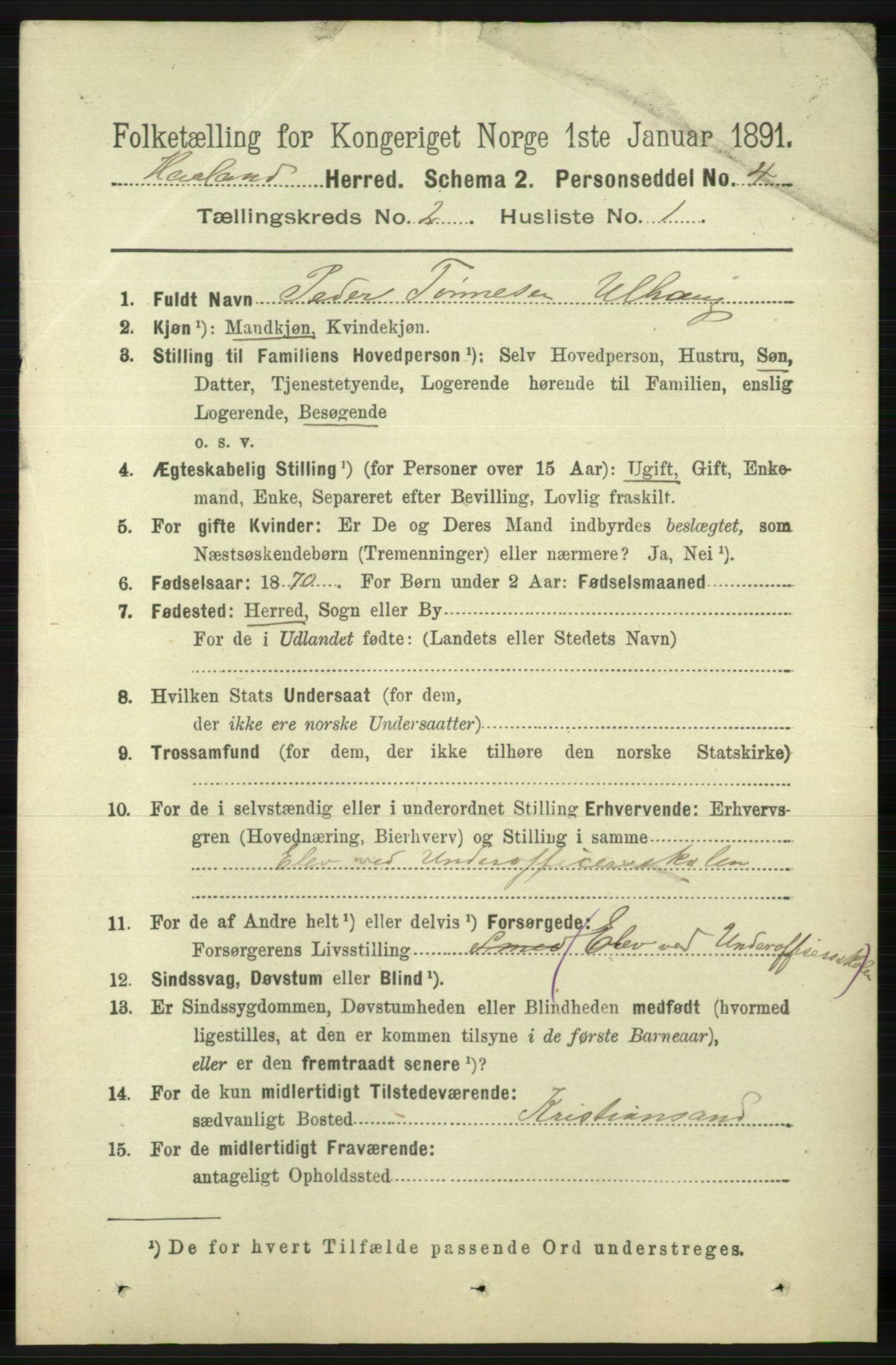 RA, 1891 census for 1124 Haaland, 1891, p. 984