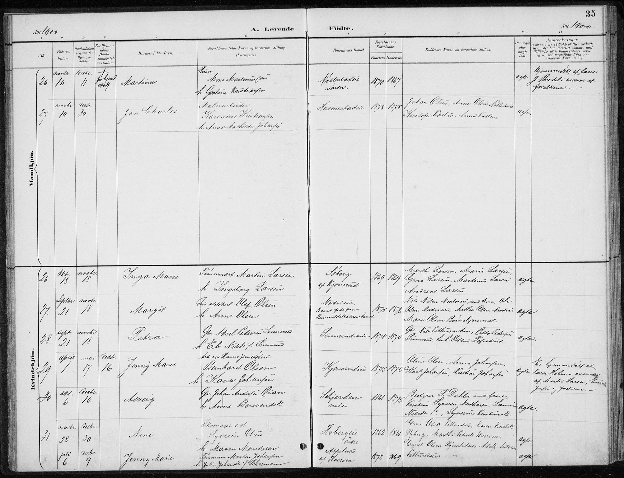 Stange prestekontor, AV/SAH-PREST-002/L/L0010: Parish register (copy) no. 10, 1894-1905, p. 35