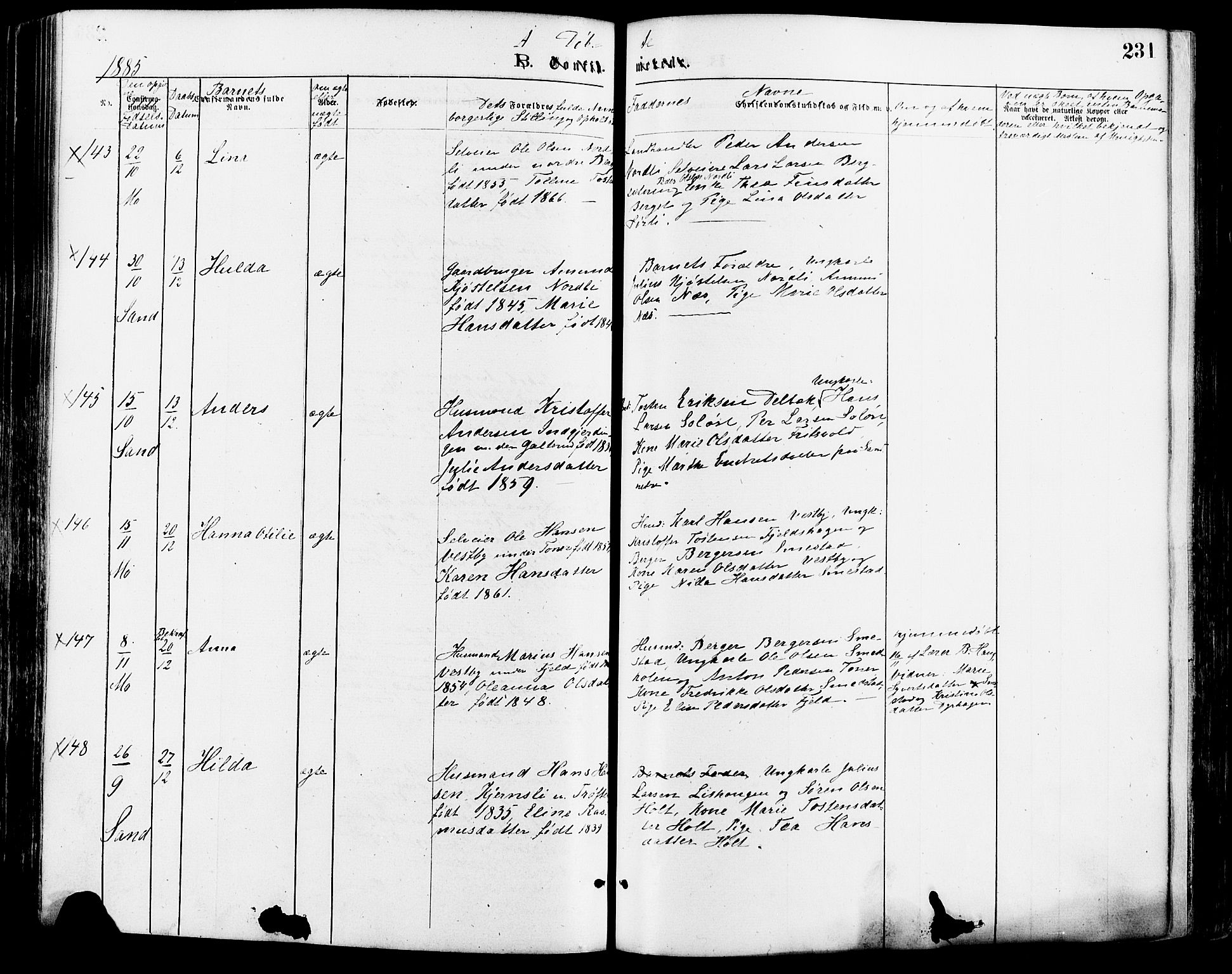 Nord-Odal prestekontor, SAH/PREST-032/H/Ha/Haa/L0005: Parish register (official) no. 5, 1874-1885, p. 231