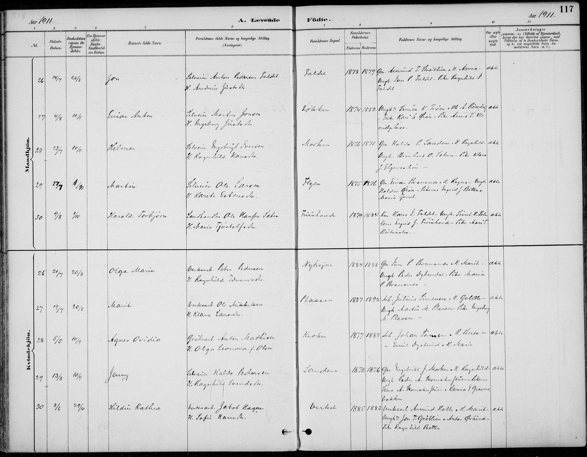 Alvdal prestekontor, AV/SAH-PREST-060/H/Ha/Haa/L0003: Parish register (official) no. 3, 1886-1912, p. 117