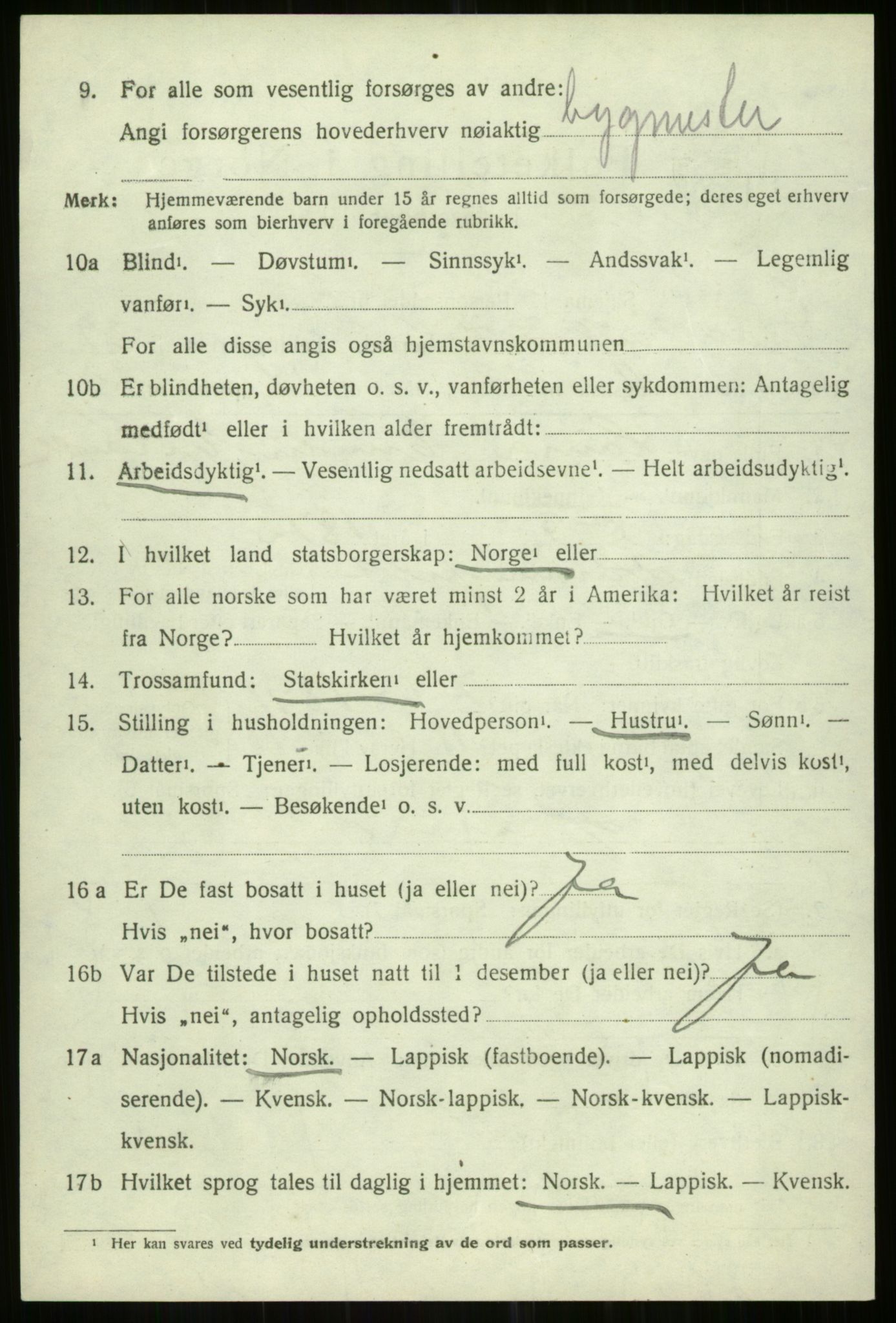 SATØ, 1920 census for Tromsøysund, 1920, p. 14205