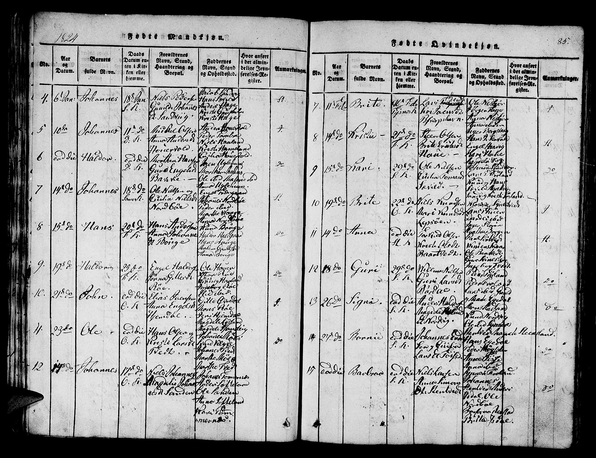 Os sokneprestembete, AV/SAB-A-99929: Parish register (official) no. A 12, 1816-1825, p. 85