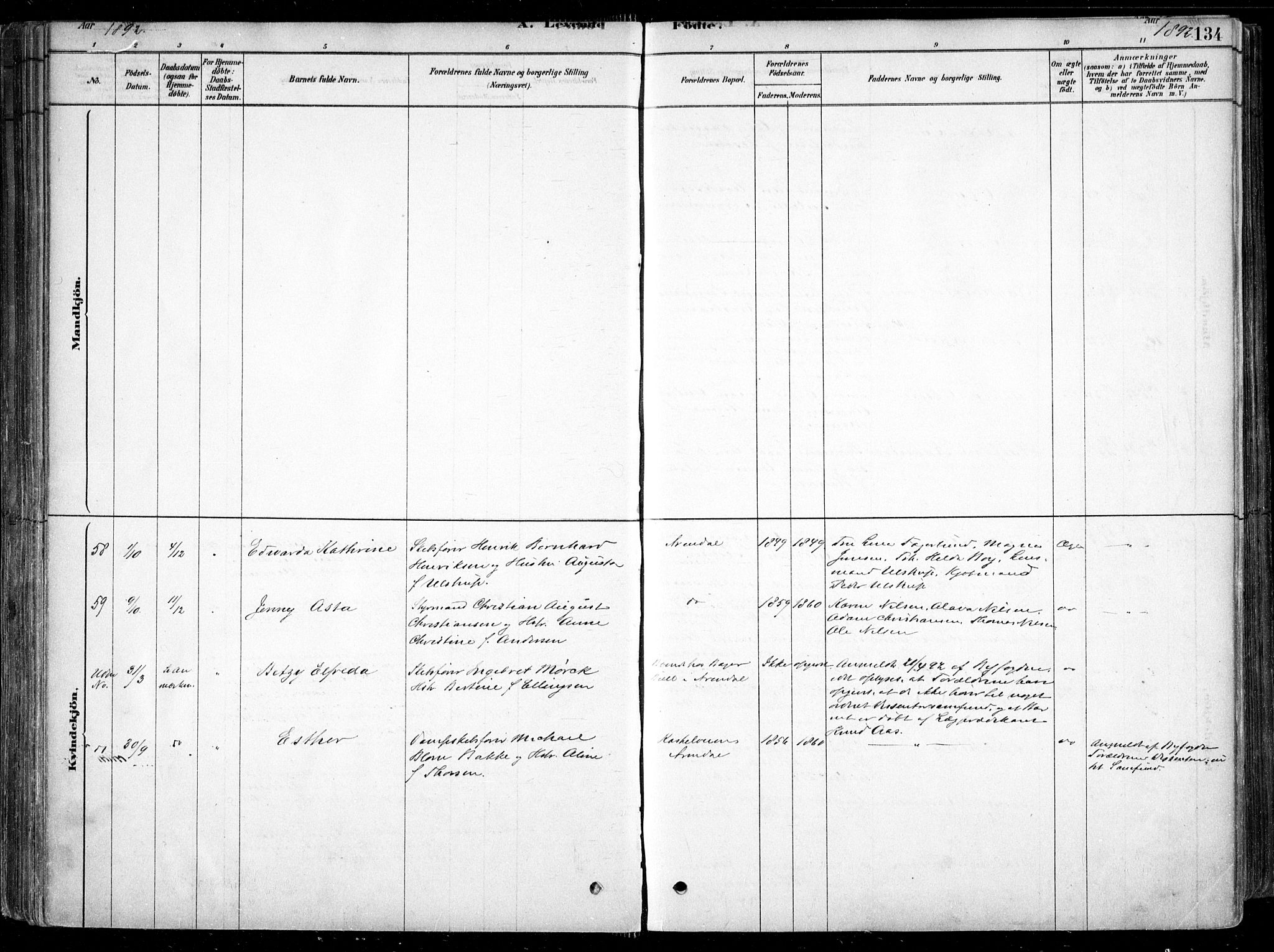 Arendal sokneprestkontor, Trefoldighet, AV/SAK-1111-0040/F/Fa/L0008: Parish register (official) no. A 8, 1878-1899, p. 134