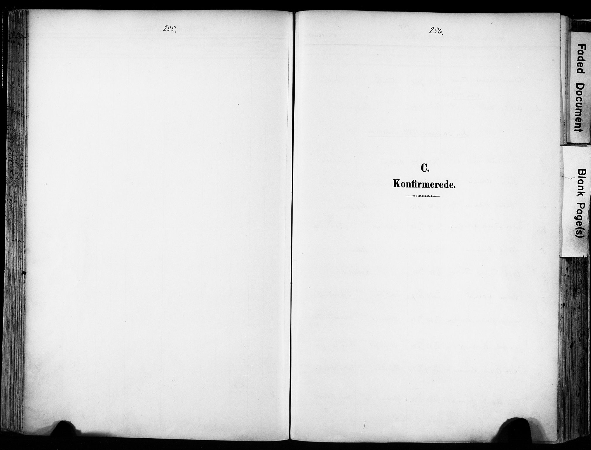 Ministerialprotokoller, klokkerbøker og fødselsregistre - Sør-Trøndelag, SAT/A-1456/606/L0301: Parish register (official) no. 606A16, 1894-1907, p. 255-256