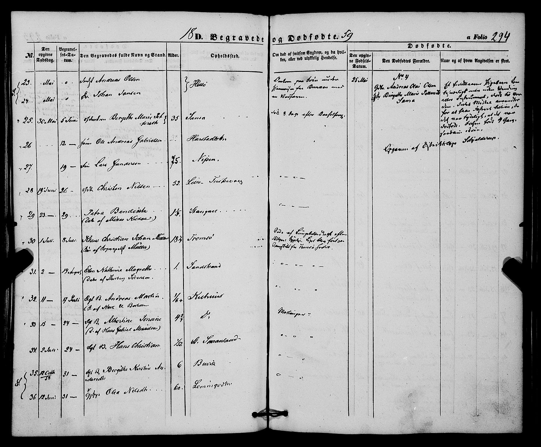 Trondenes sokneprestkontor, SATØ/S-1319/H/Ha/L0011kirke: Parish register (official) no. 11, 1853-1862, p. 294