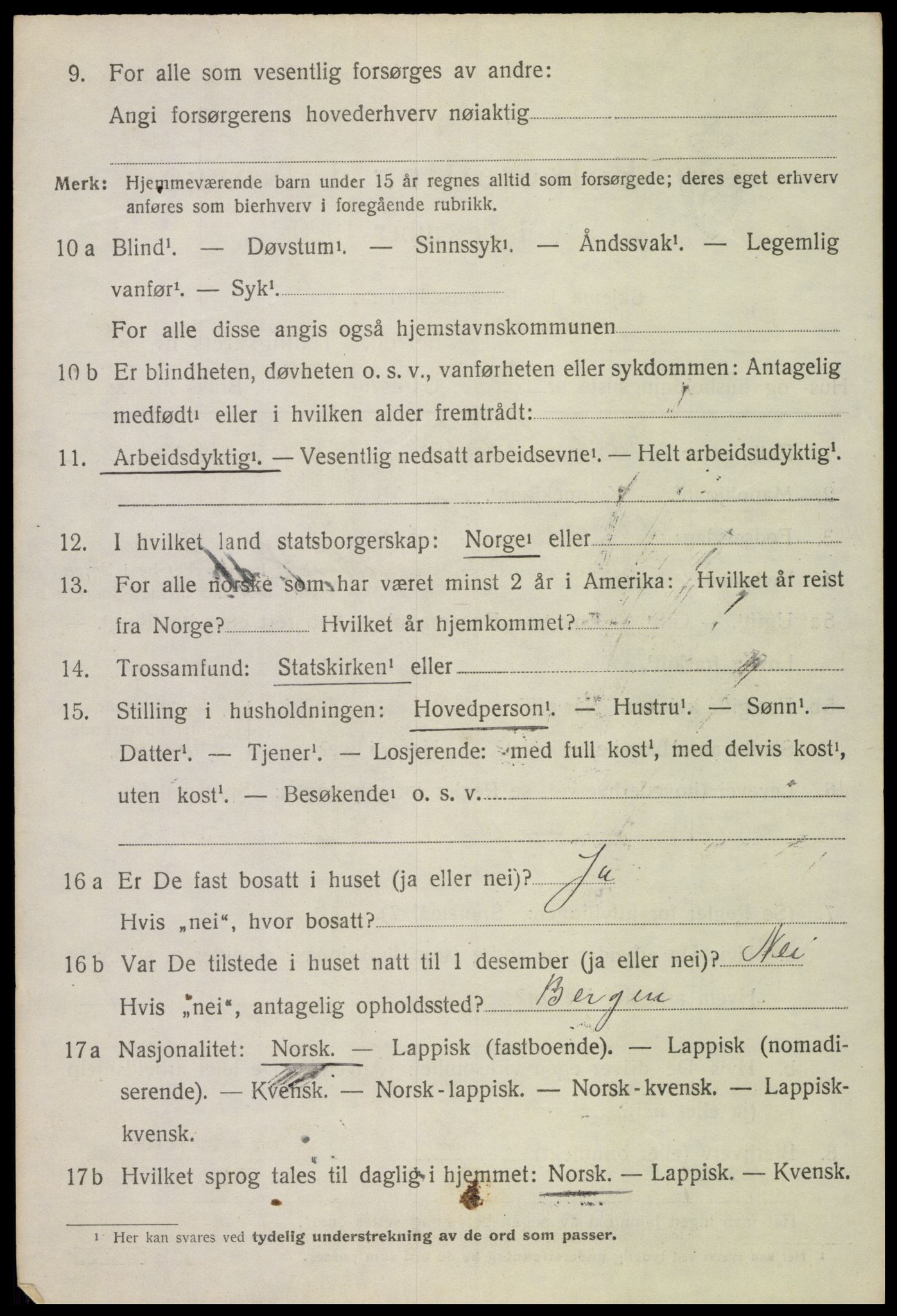 SAT, 1920 census for Bø, 1920, p. 10381