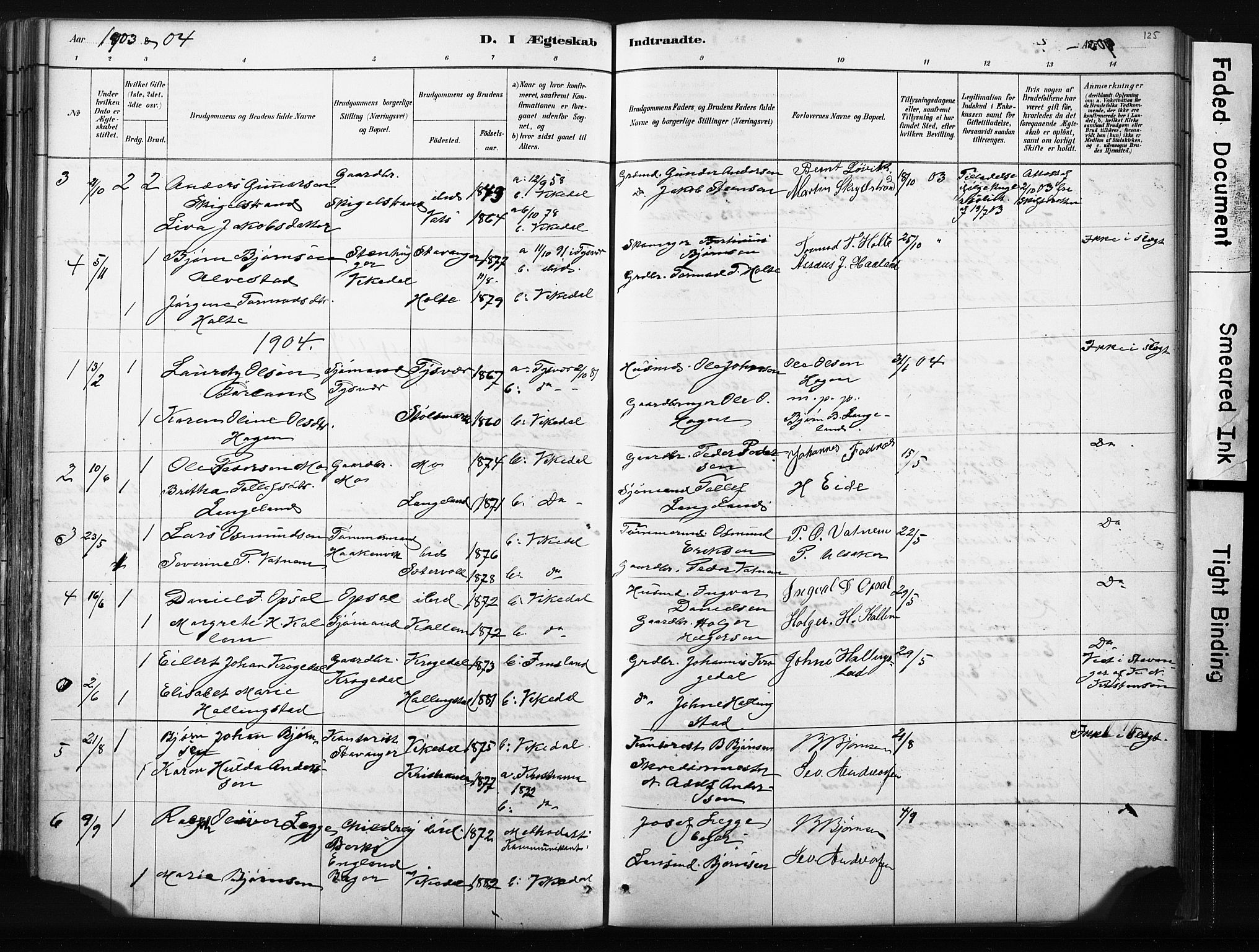 Vikedal sokneprestkontor, AV/SAST-A-101840/01/IV: Parish register (official) no. A 10, 1884-1907, p. 125