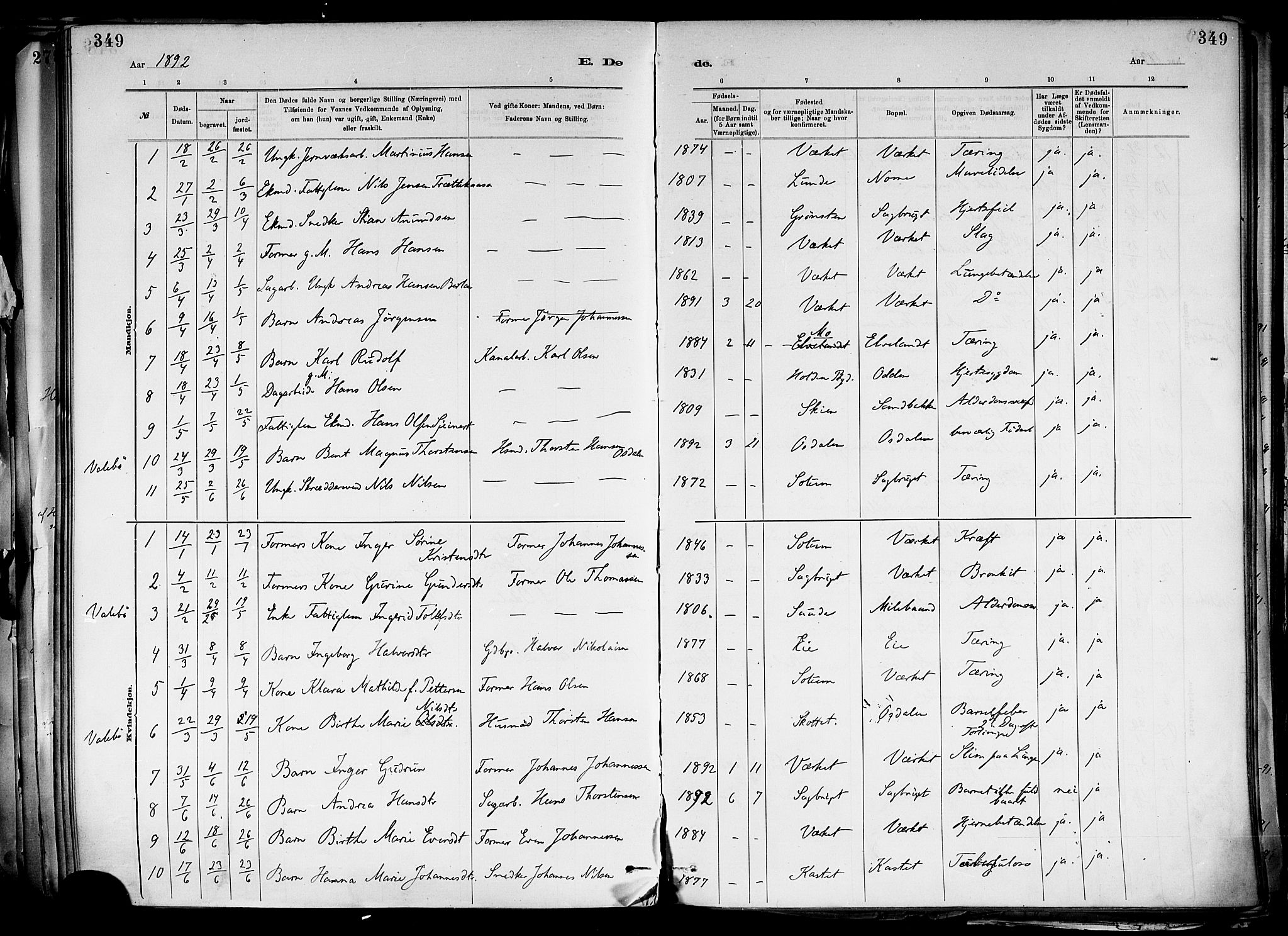 Holla kirkebøker, SAKO/A-272/F/Fa/L0008: Parish register (official) no. 8, 1882-1897, p. 349