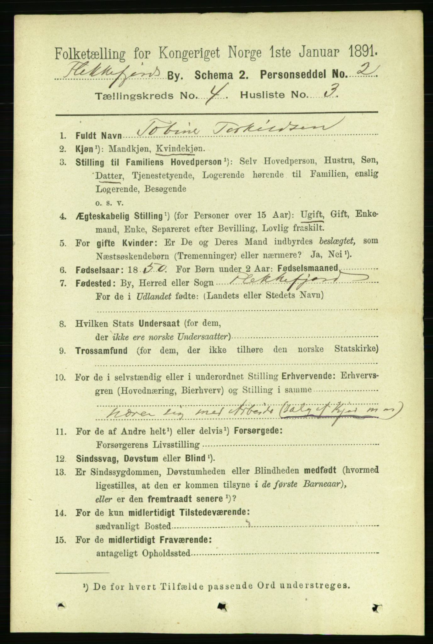 RA, 1891 census for 1004 Flekkefjord, 1891, p. 1030