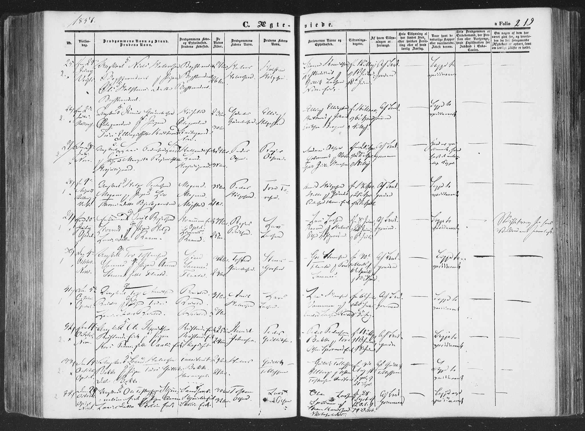 Rollag kirkebøker, AV/SAKO-A-240/F/Fa/L0008: Parish register (official) no. I 8, 1847-1860, p. 219