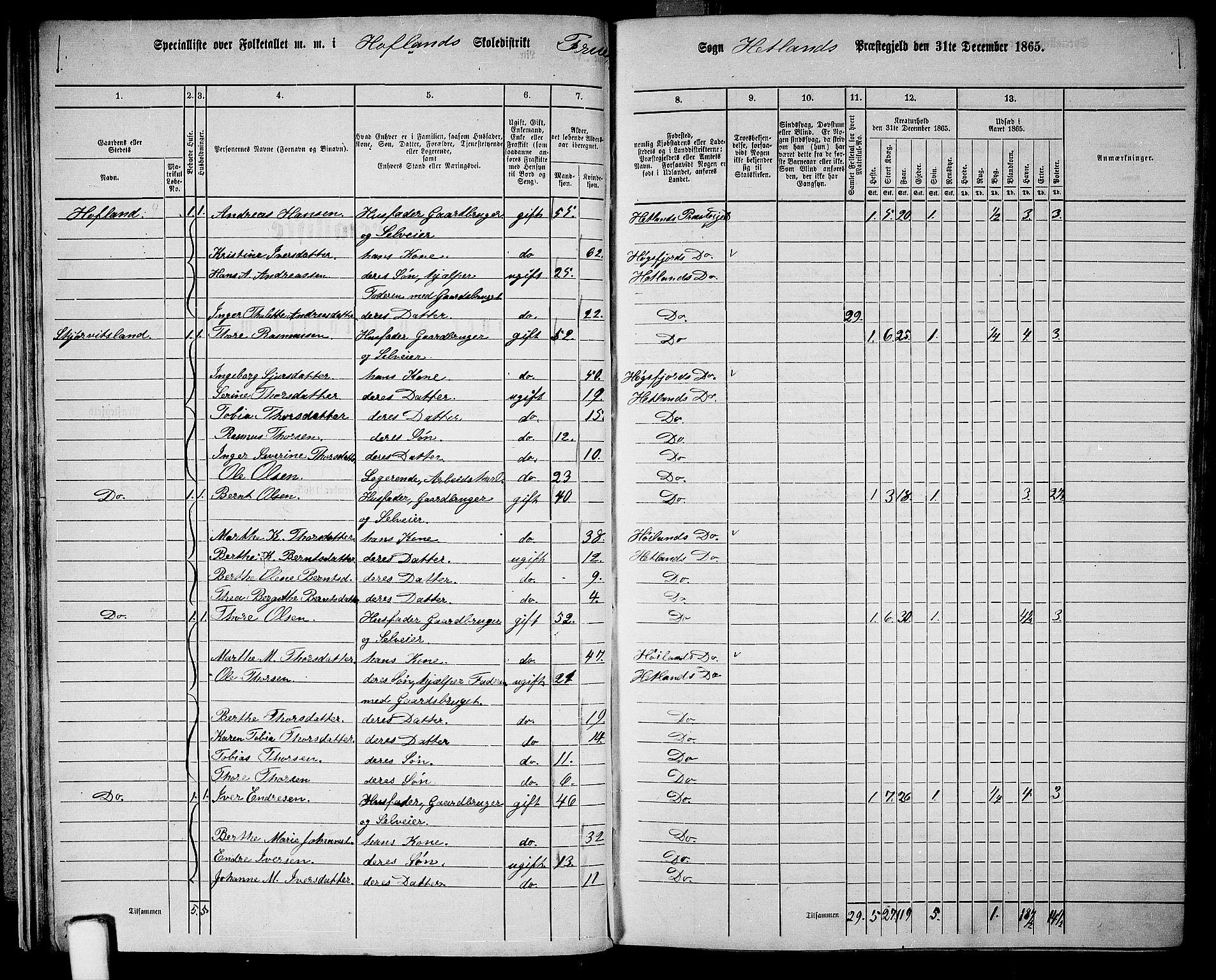 RA, 1865 census for Hetland, 1865, p. 32