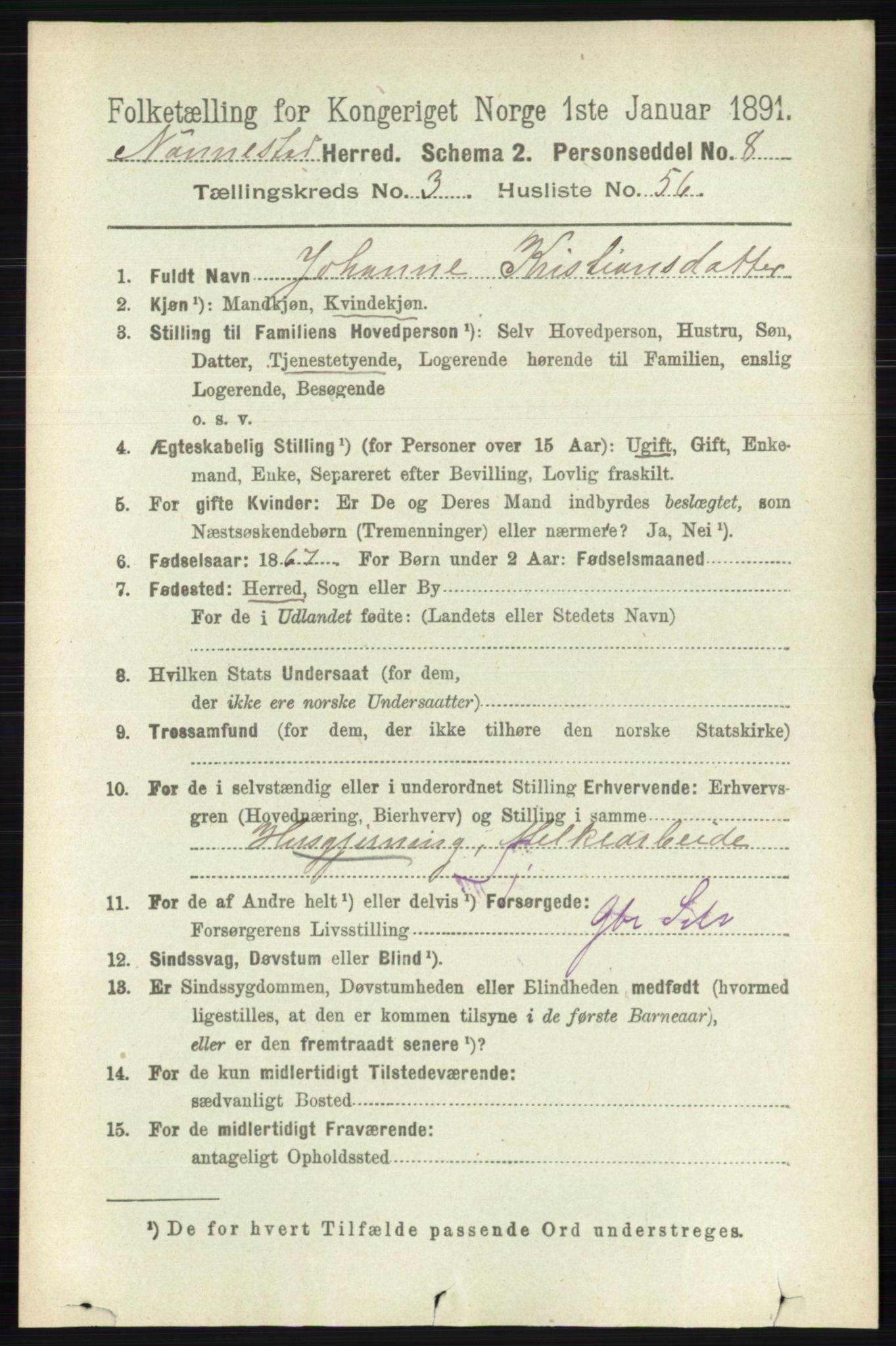 RA, 1891 census for 0238 Nannestad, 1891, p. 1799