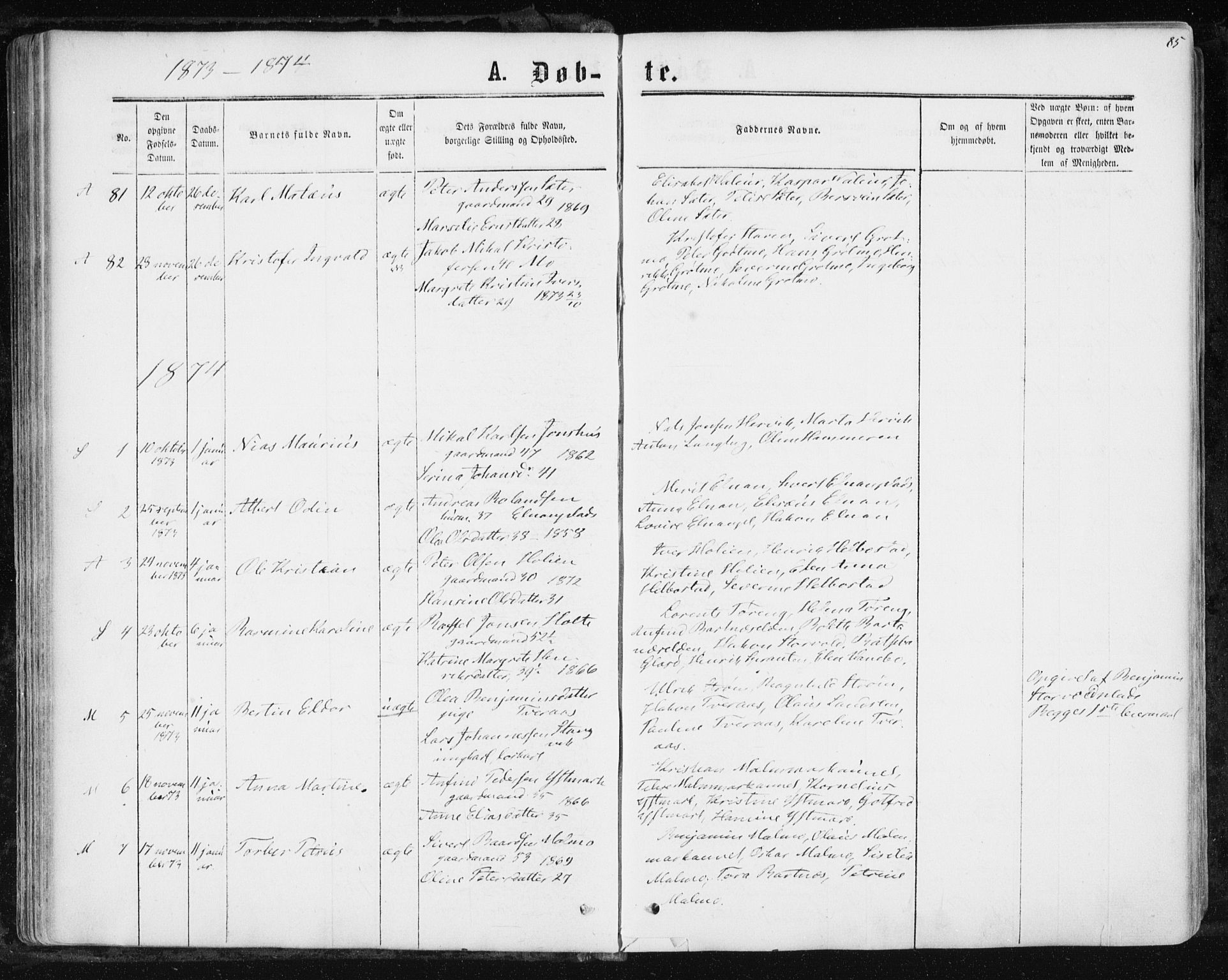 Ministerialprotokoller, klokkerbøker og fødselsregistre - Nord-Trøndelag, SAT/A-1458/741/L0394: Parish register (official) no. 741A08, 1864-1877, p. 85