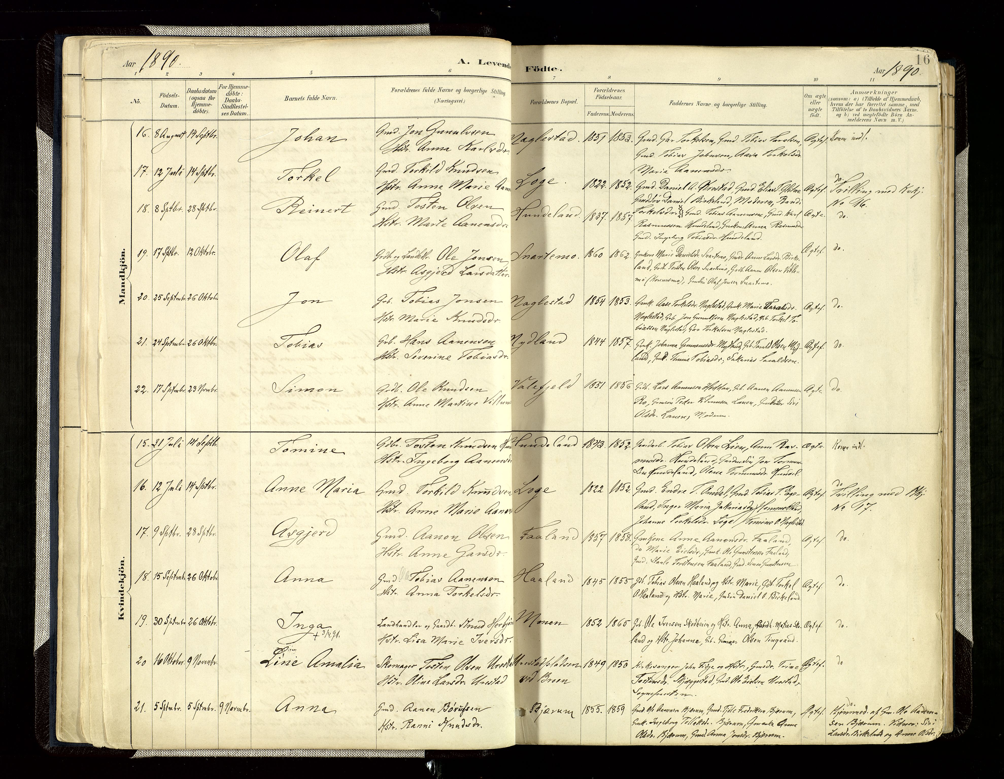 Hægebostad sokneprestkontor, AV/SAK-1111-0024/F/Fa/Faa/L0006: Parish register (official) no. A 6, 1887-1929, p. 16