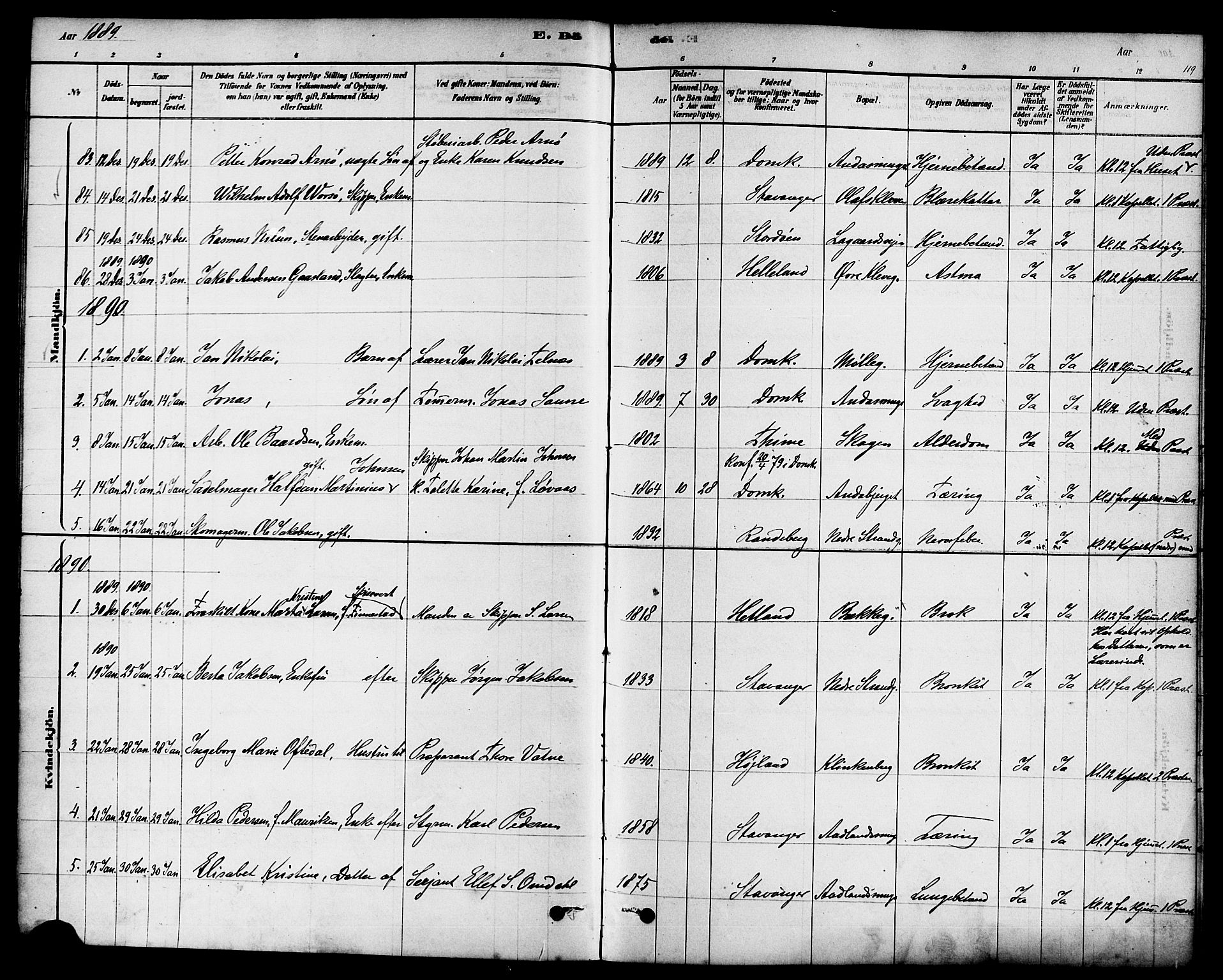Domkirken sokneprestkontor, SAST/A-101812/001/30/30BA/L0027: Parish register (official) no. A 26, 1878-1896, p. 119