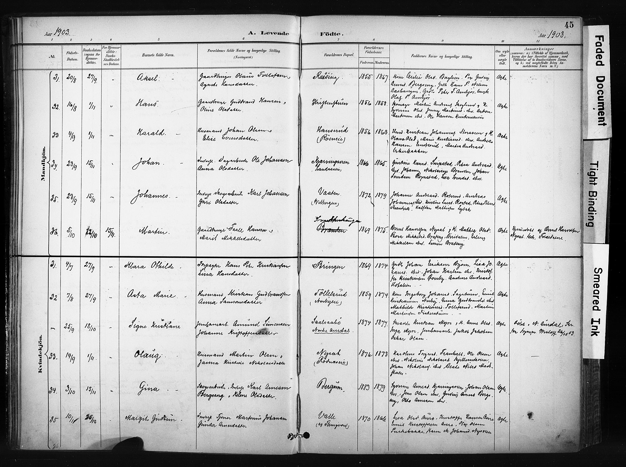 Søndre Land prestekontor, AV/SAH-PREST-122/K/L0004: Parish register (official) no. 4, 1895-1904, p. 45