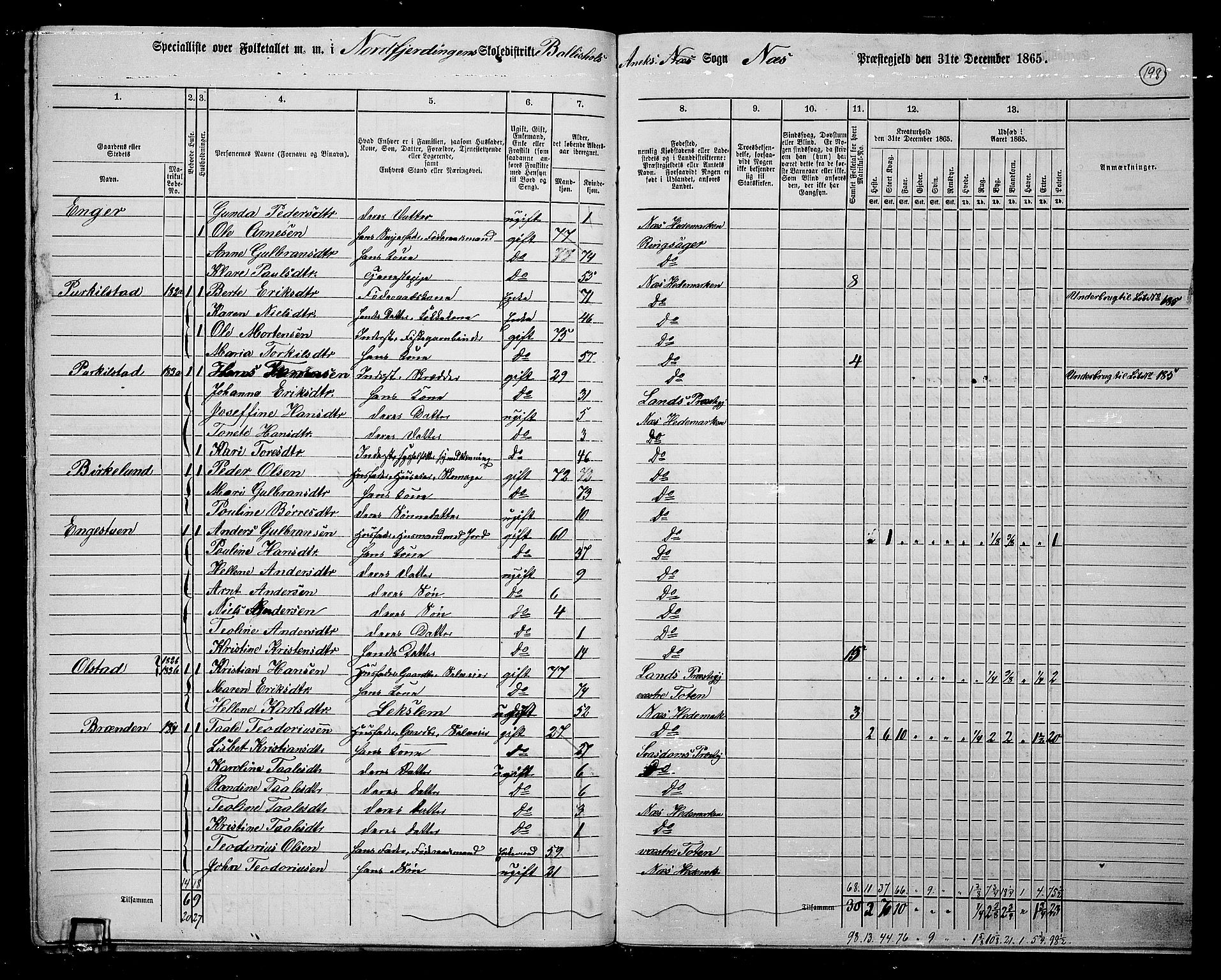 RA, 1865 census for Nes, 1865, p. 172