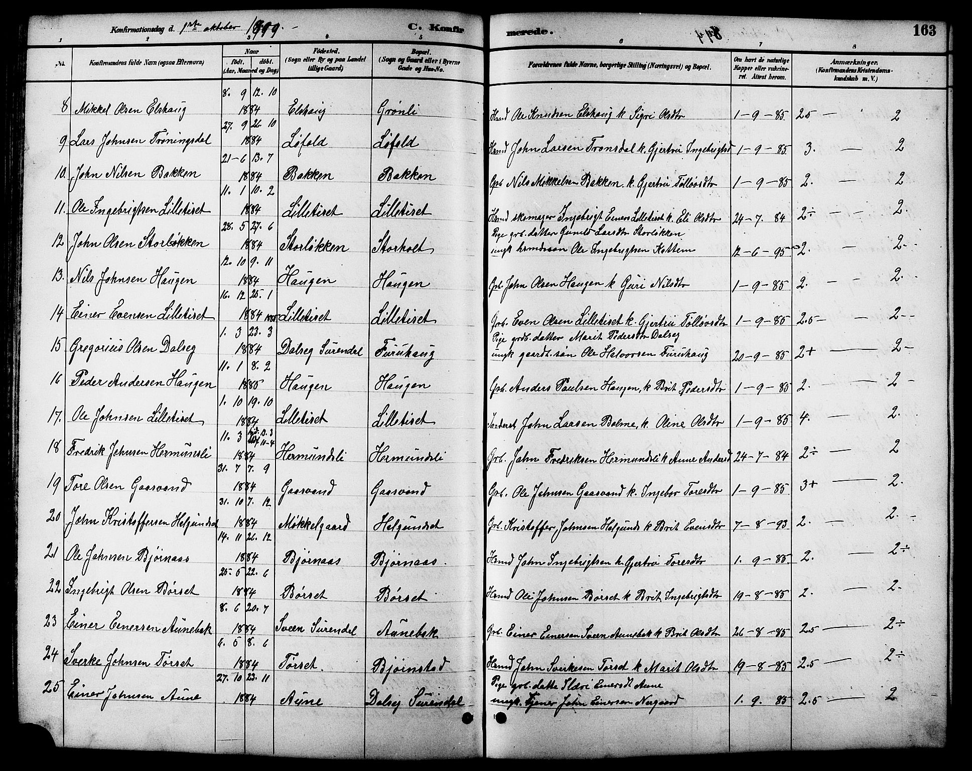 Ministerialprotokoller, klokkerbøker og fødselsregistre - Møre og Romsdal, SAT/A-1454/598/L1078: Parish register (copy) no. 598C03, 1892-1909, p. 163