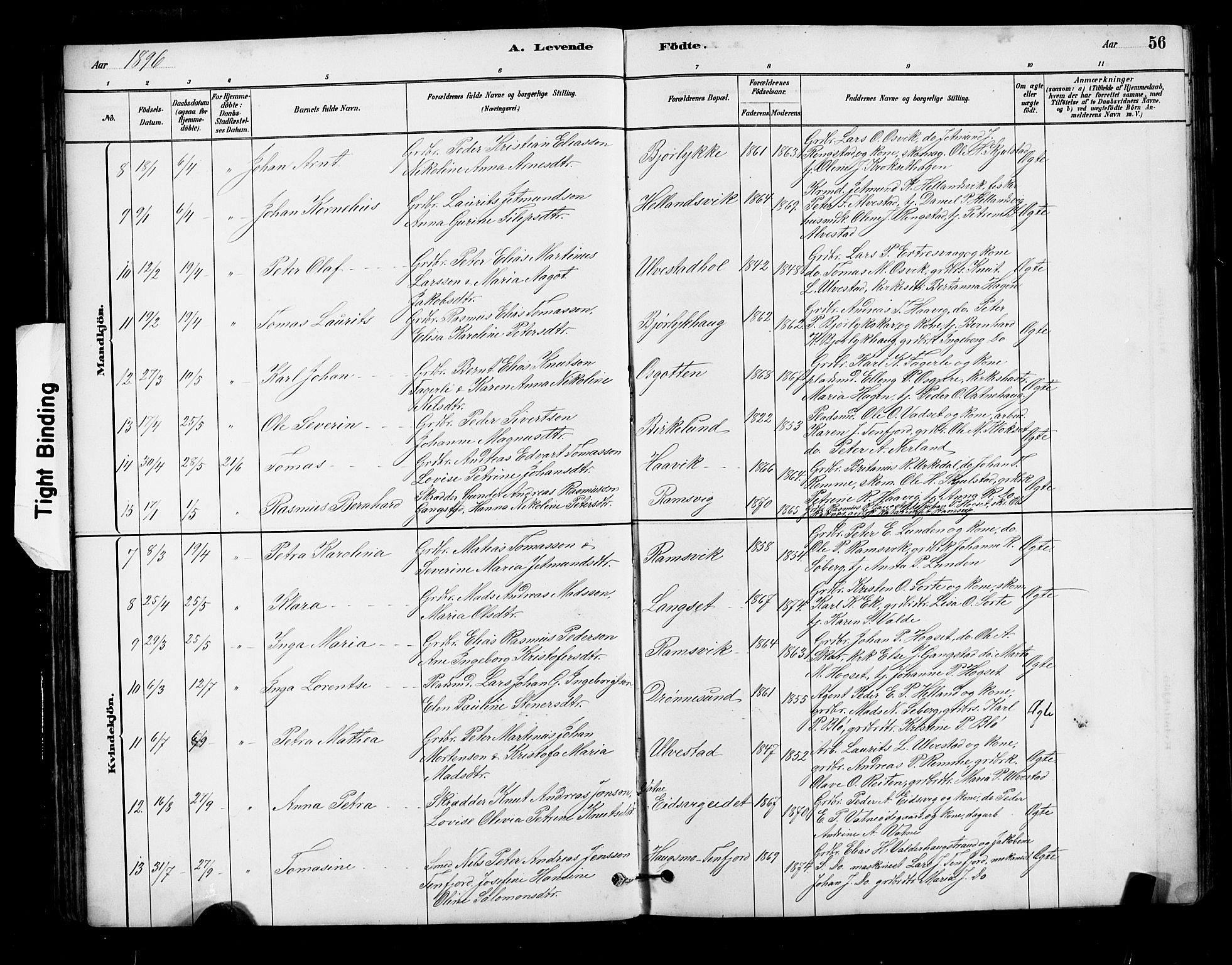 Ministerialprotokoller, klokkerbøker og fødselsregistre - Møre og Romsdal, AV/SAT-A-1454/525/L0376: Parish register (copy) no. 525C02, 1880-1902, p. 56