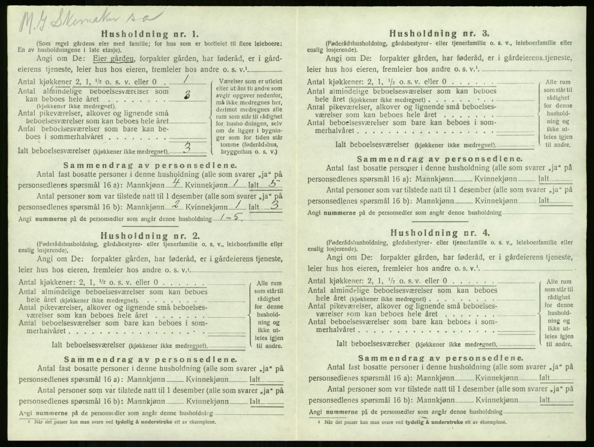 SAKO, 1920 census for Stokke, 1920, p. 996
