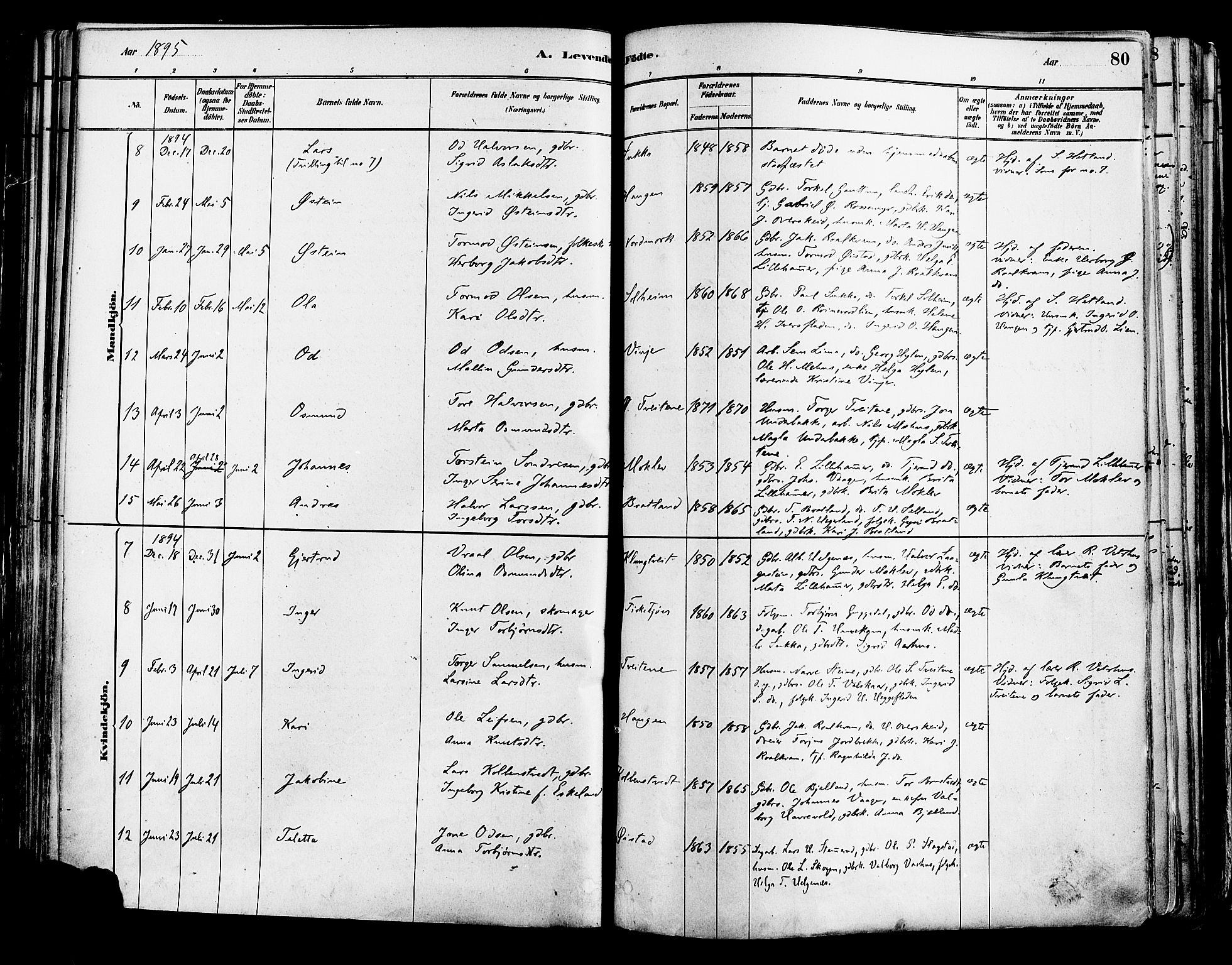 Suldal sokneprestkontor, AV/SAST-A-101845/01/IV/L0011: Parish register (official) no. A 11, 1878-1900, p. 80