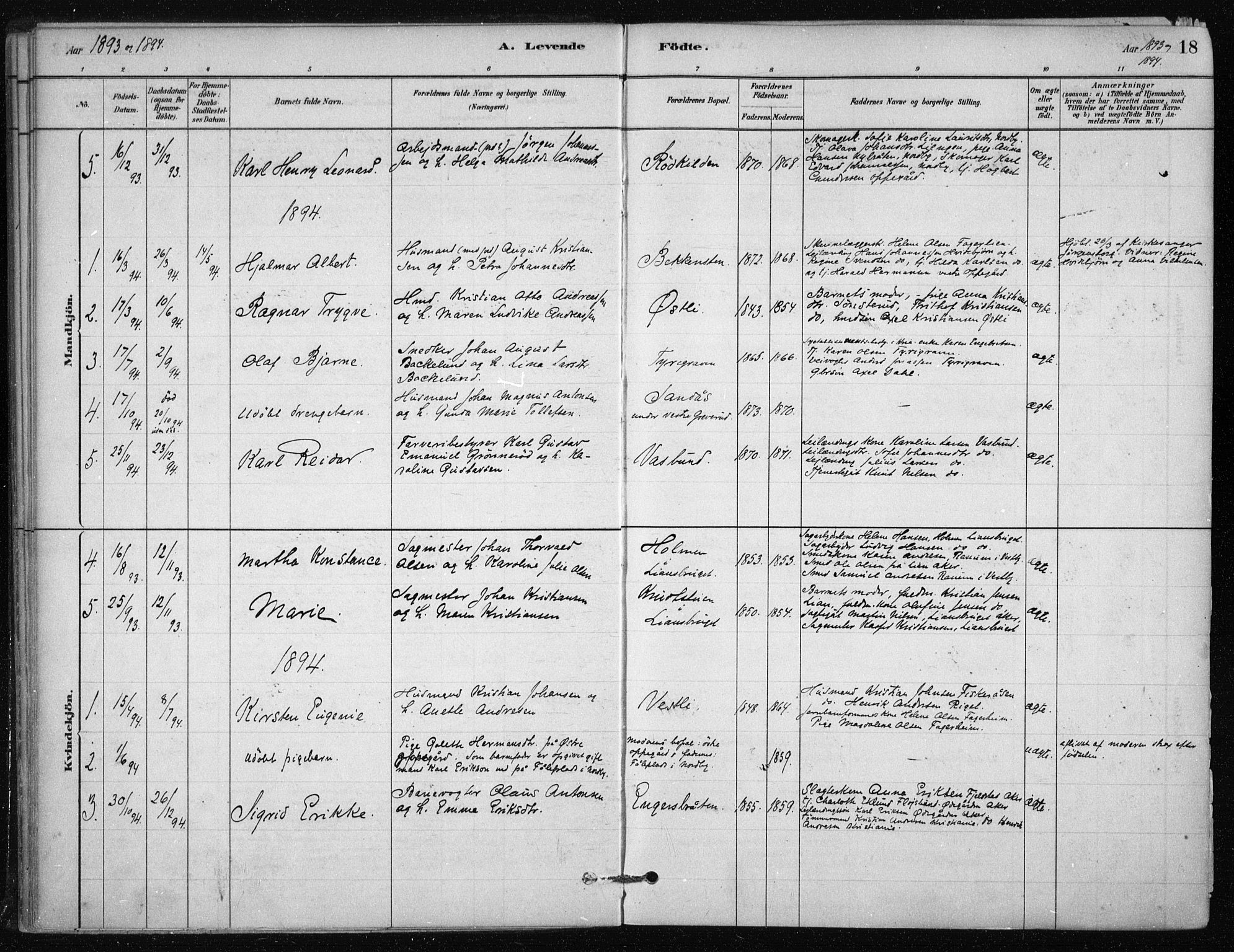 Nesodden prestekontor Kirkebøker, SAO/A-10013/F/Fb/L0001: Parish register (official) no. II 1, 1880-1915, p. 18